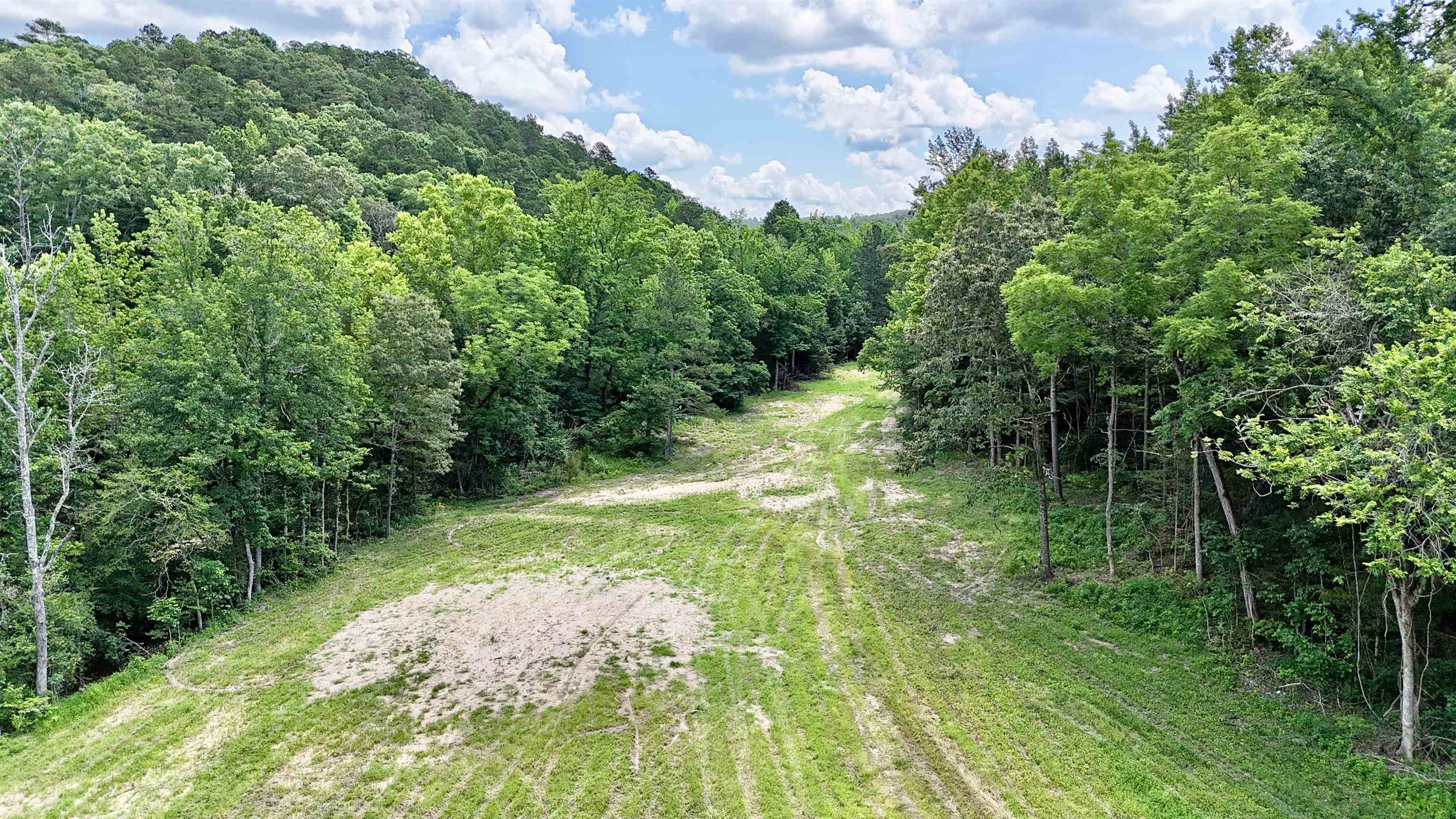 42.83 acres Rose Trail  Melbourne, AR