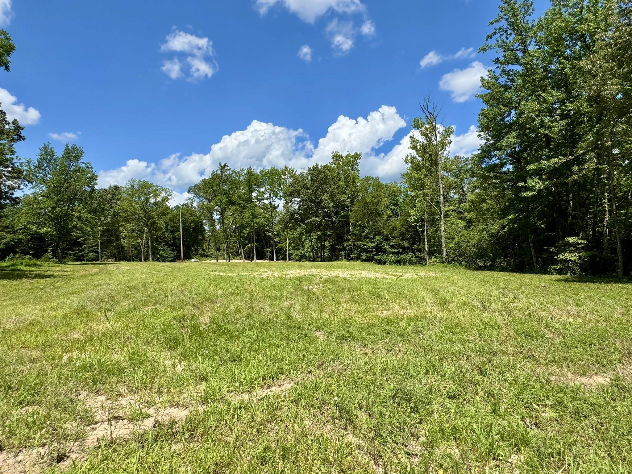 42.83 acres Rose Trail  Melbourne, AR