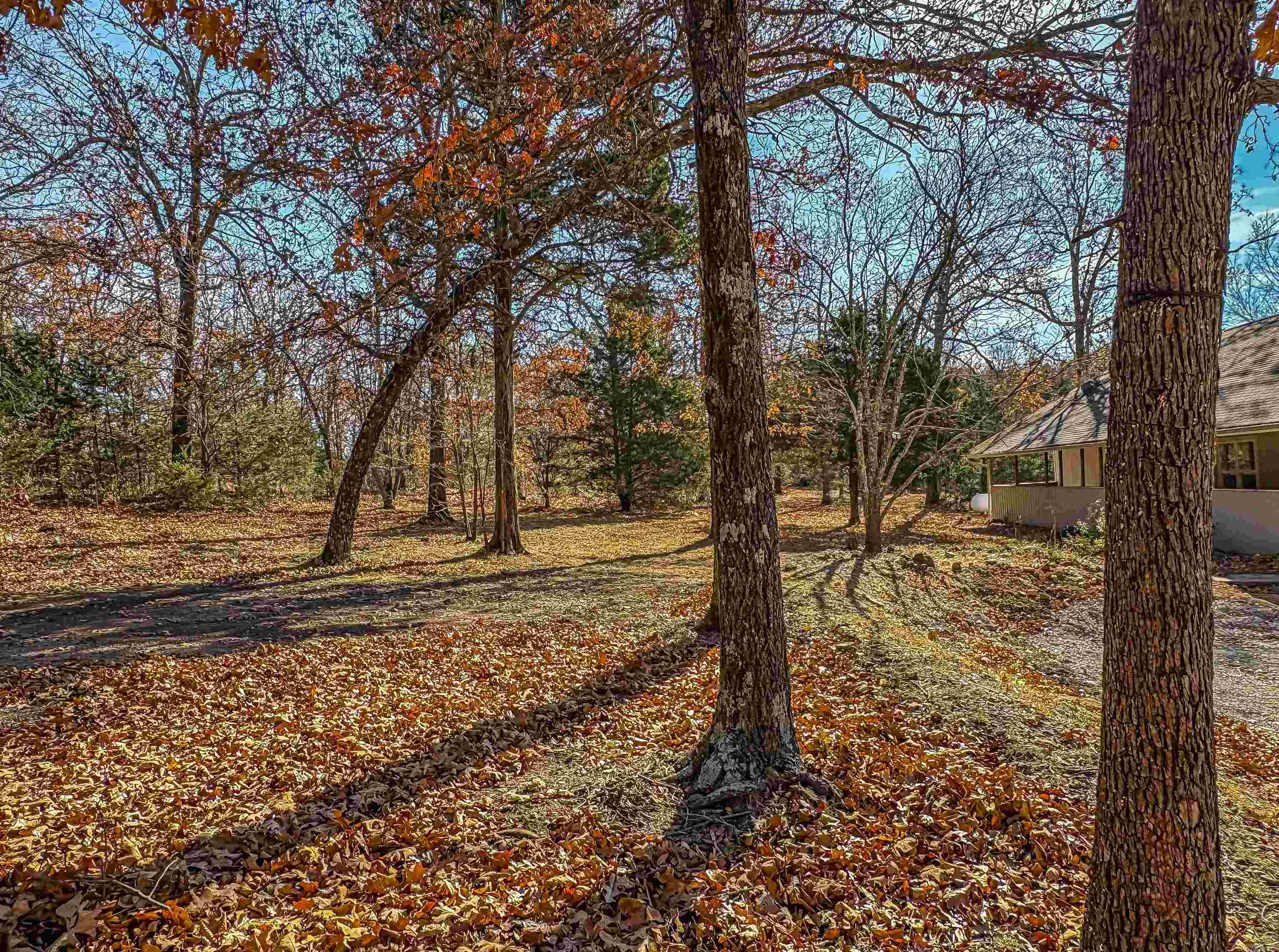 941 MC 5025 Valley Springs, AR 72682