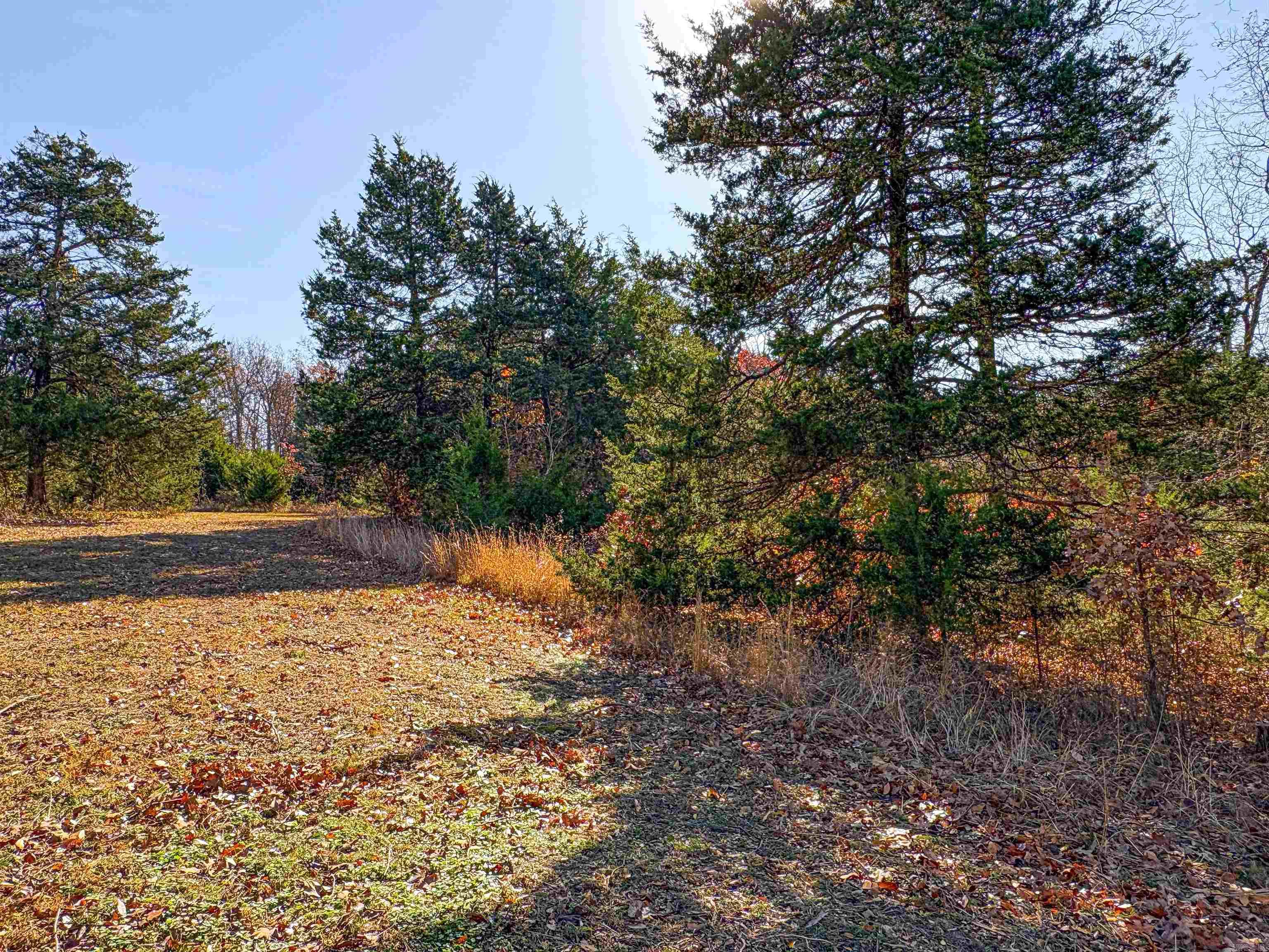 941 MC 5025 Valley Springs, AR 72682