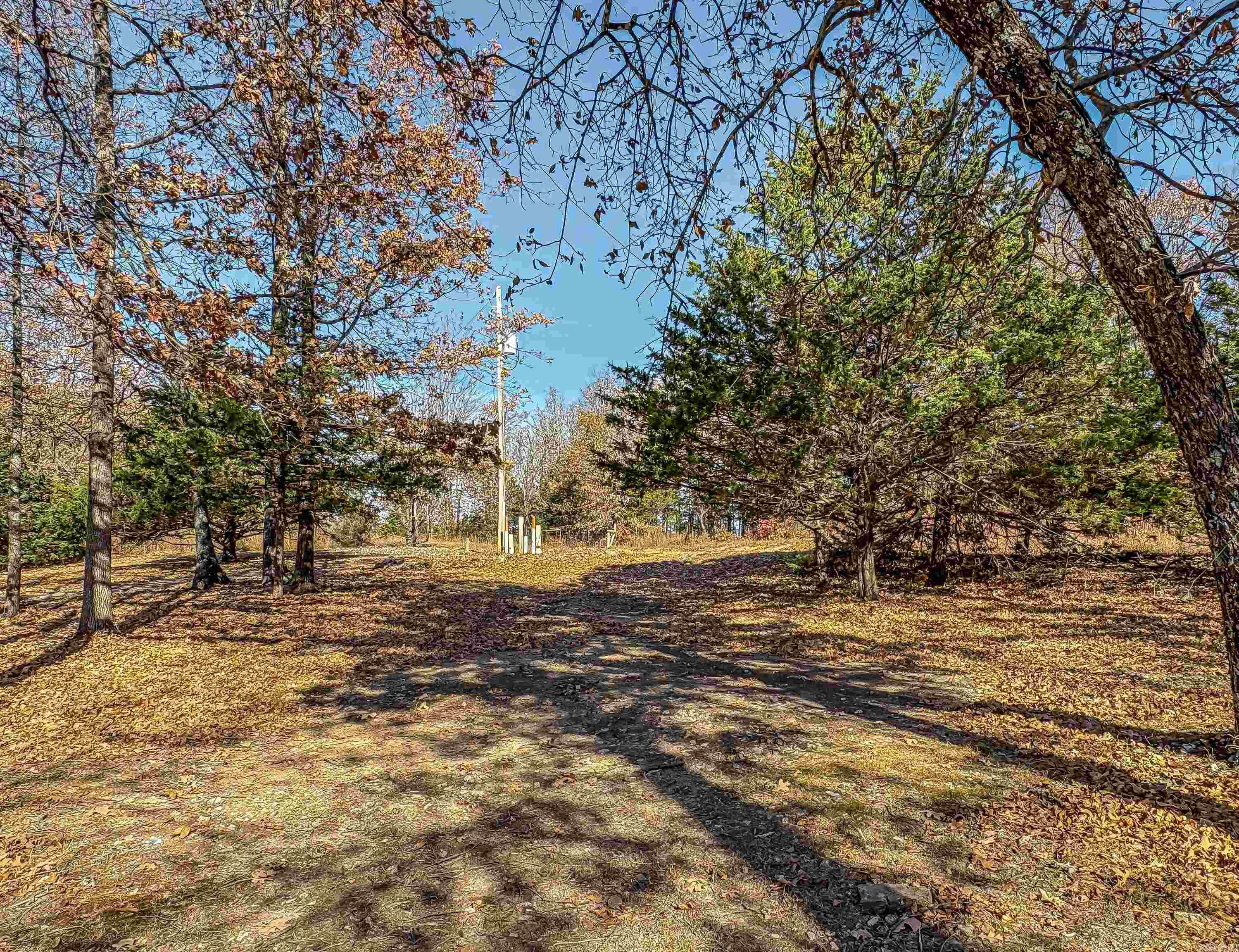 941 MC 5025 Valley Springs, AR 72682