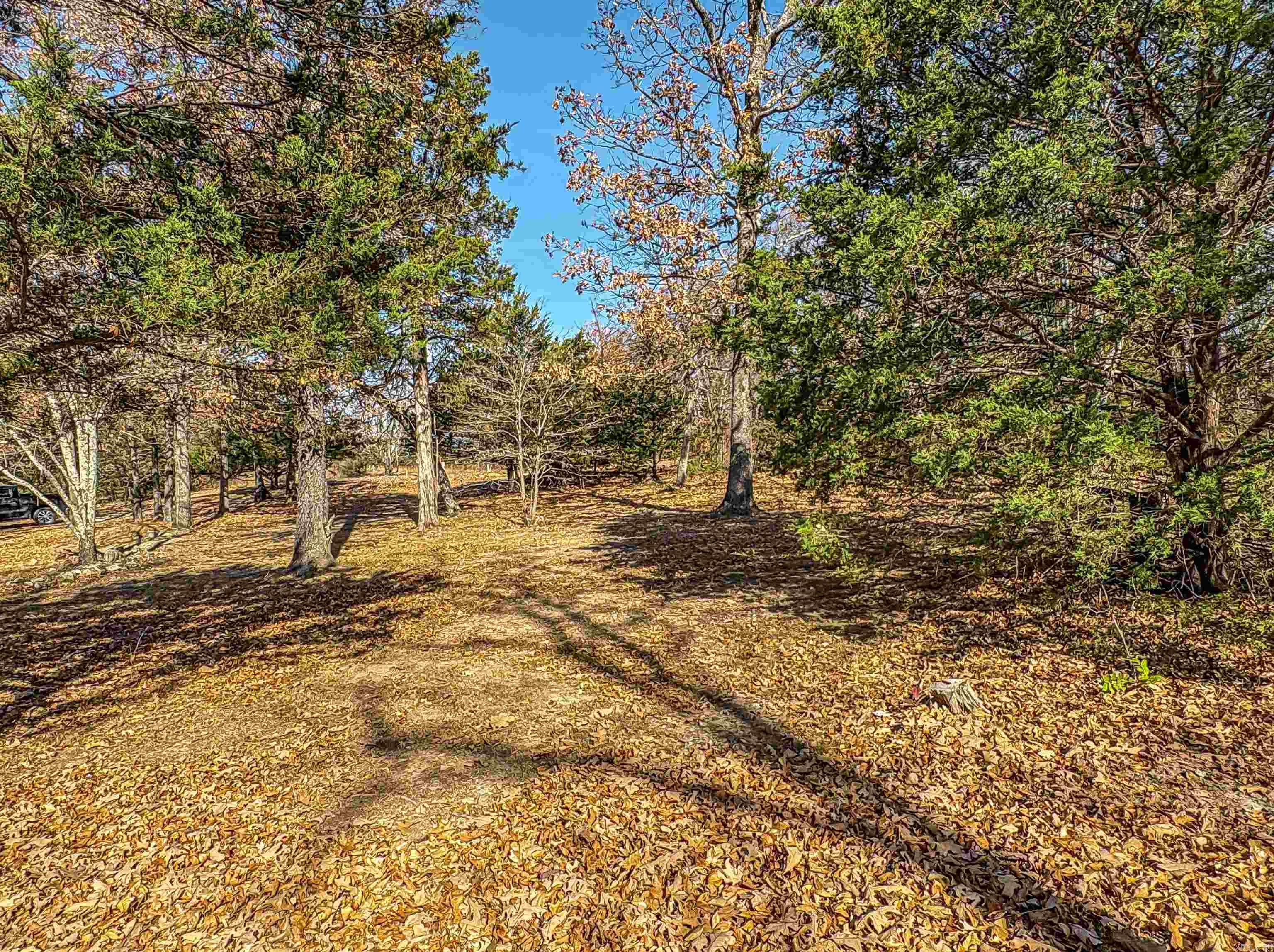 941 MC 5025 Valley Springs, AR 72682