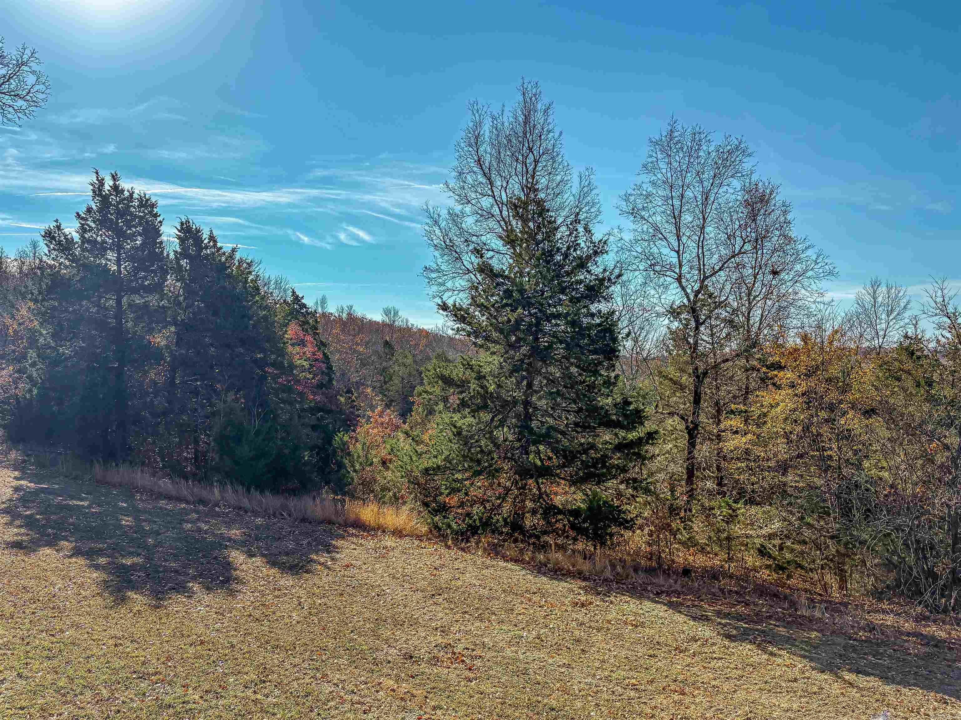 941 MC 5025 Valley Springs, AR 72682