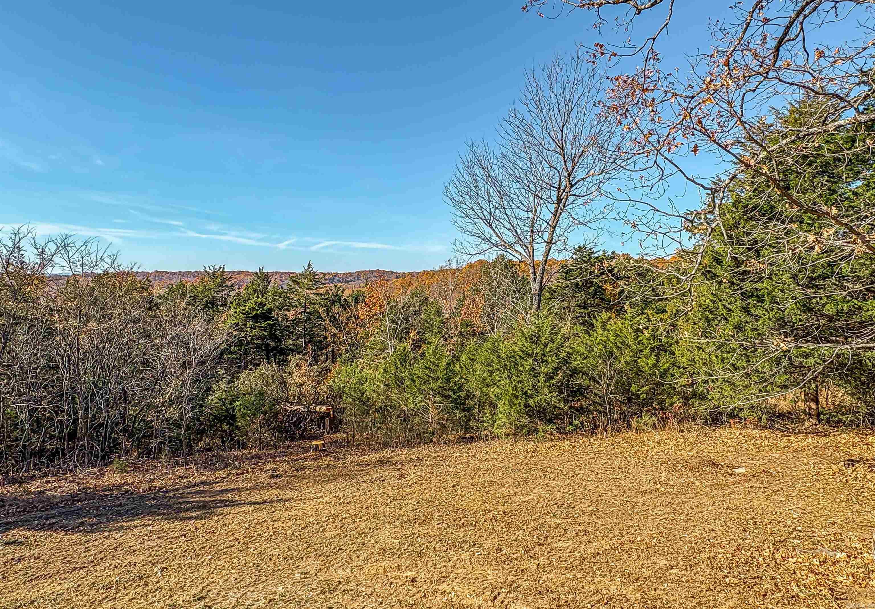 941 MC 5025 Valley Springs, AR 72682