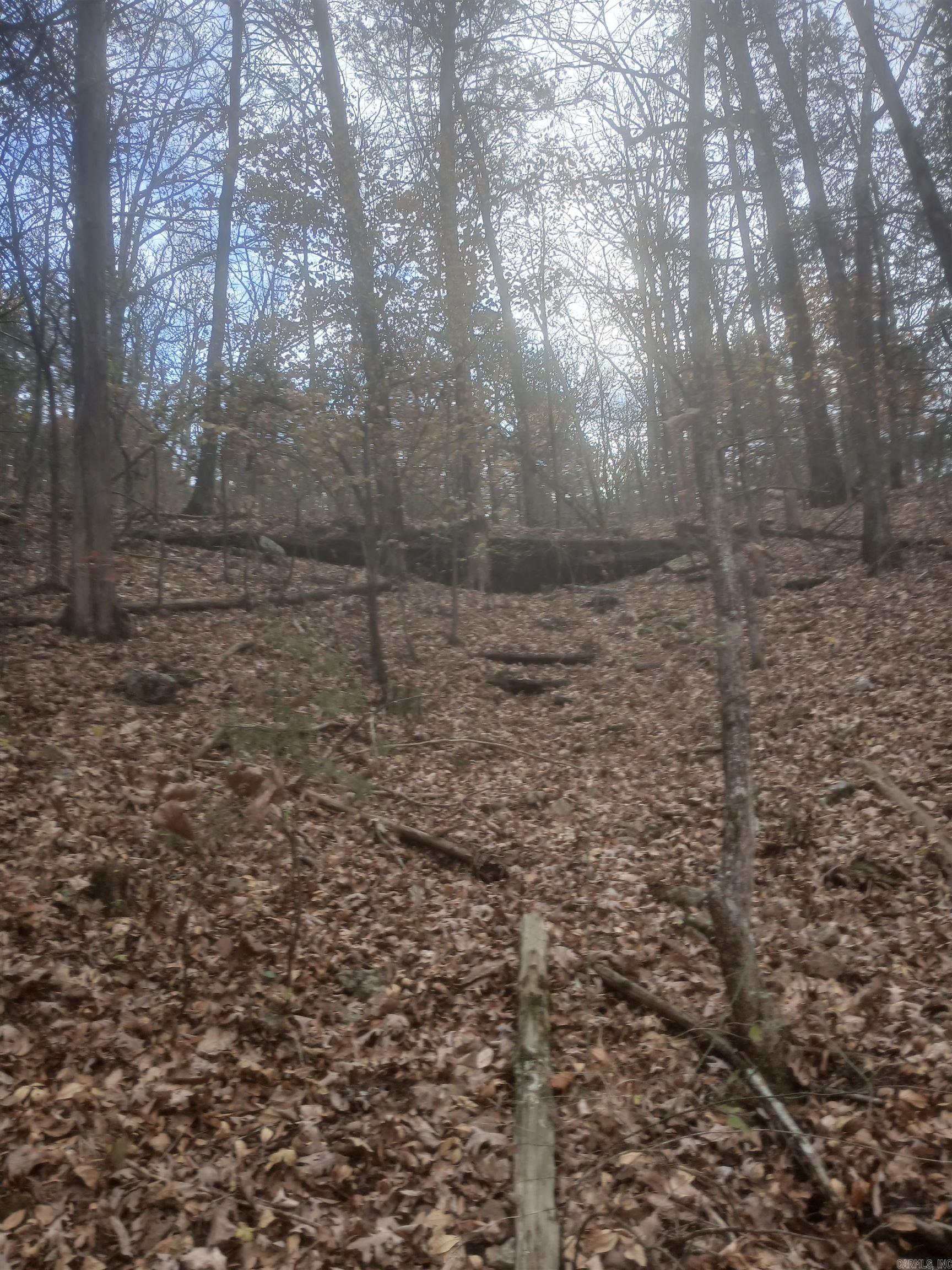 941 MC 5025 Valley Springs, AR 72682