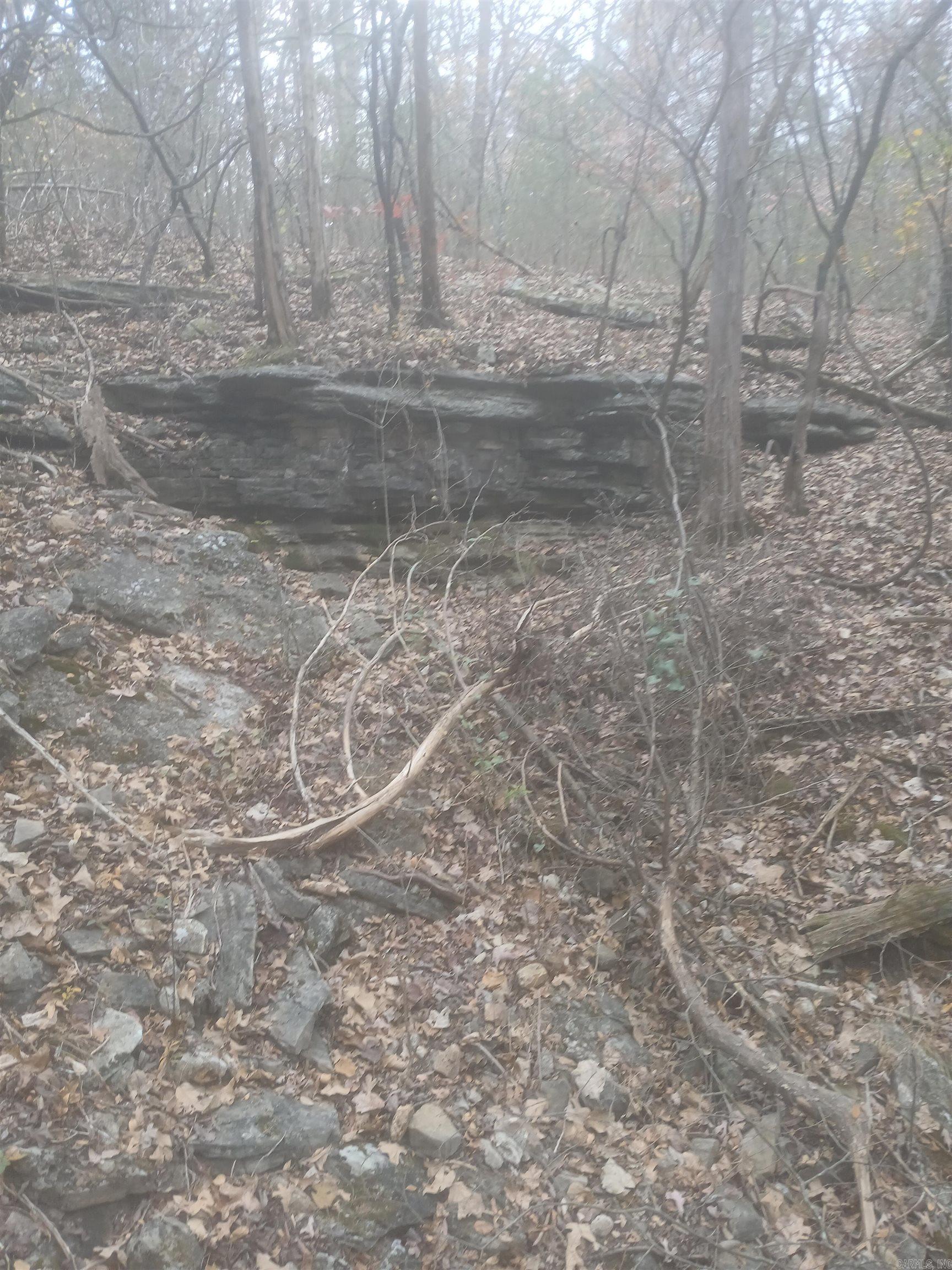 941 MC 5025 Valley Springs, AR 72682