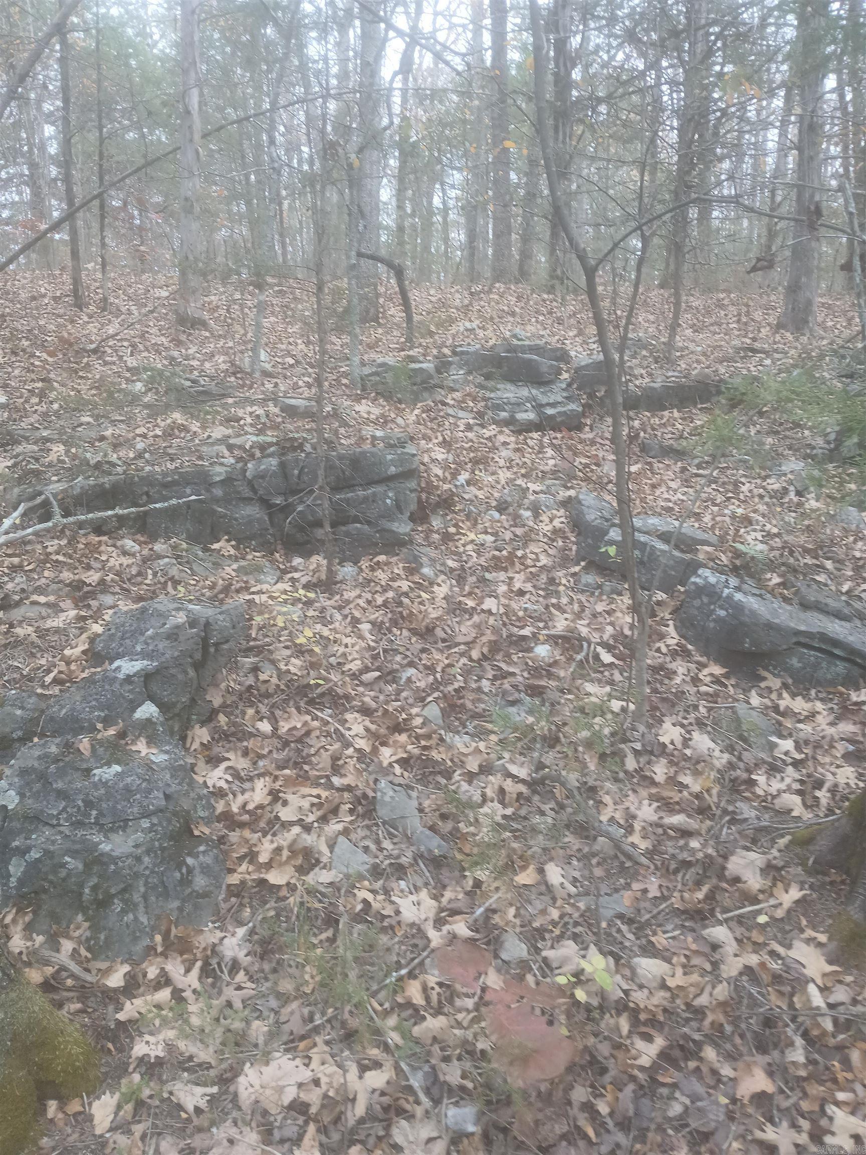 941 MC 5025 Valley Springs, AR 72682