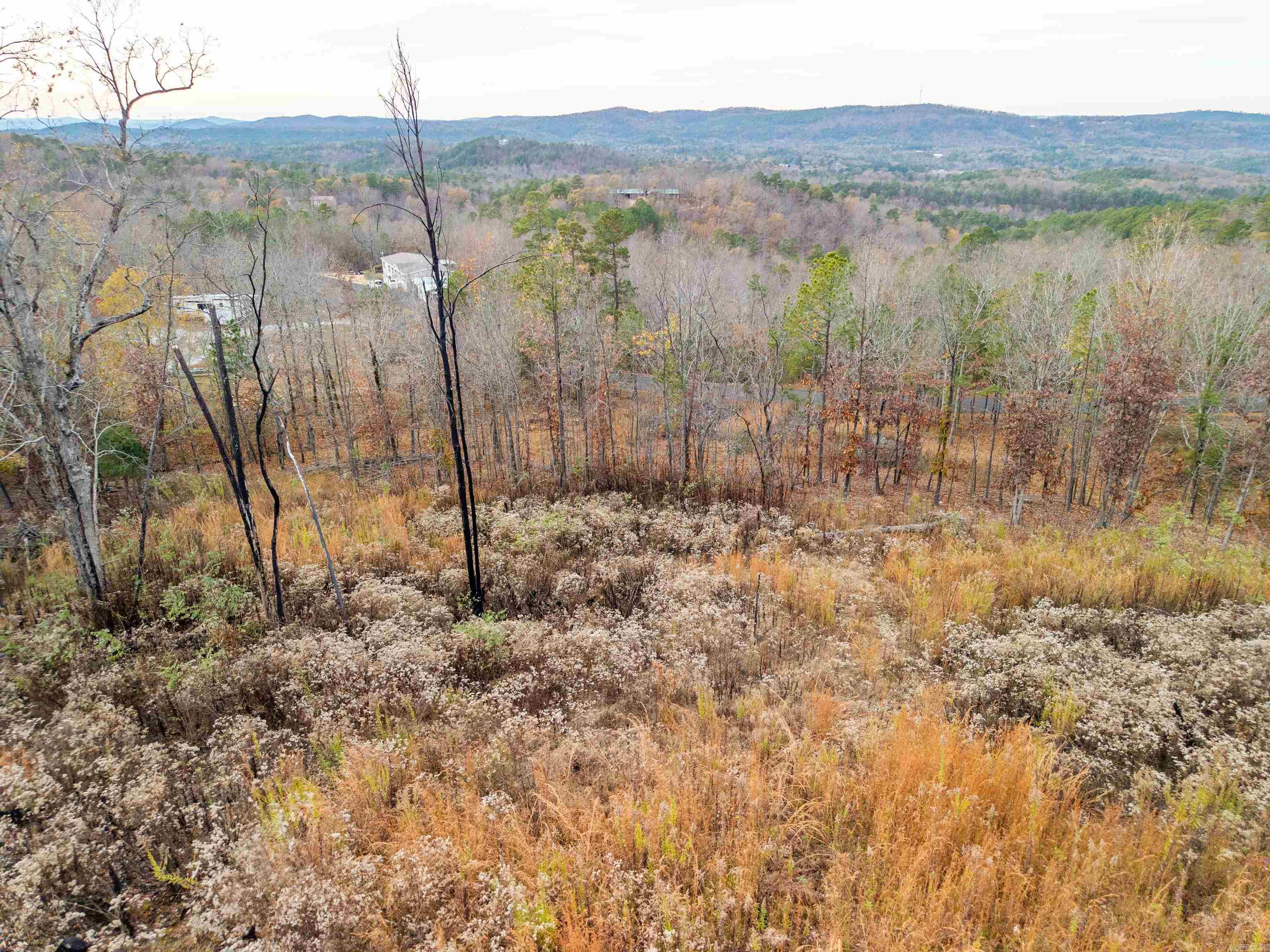 Lot 61 Most High  Hot Springs, AR