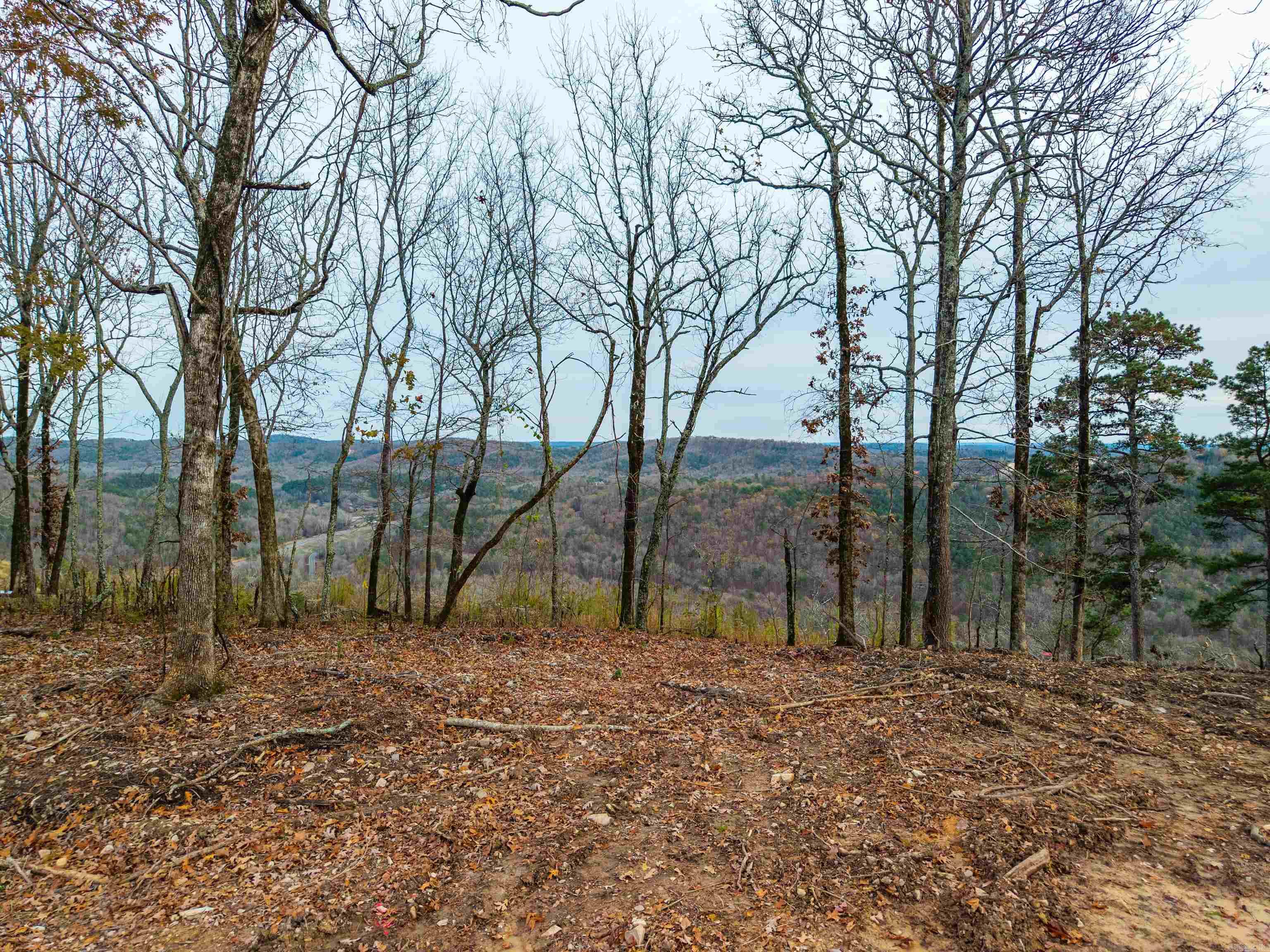 Lot 61 Most High  Hot Springs, AR