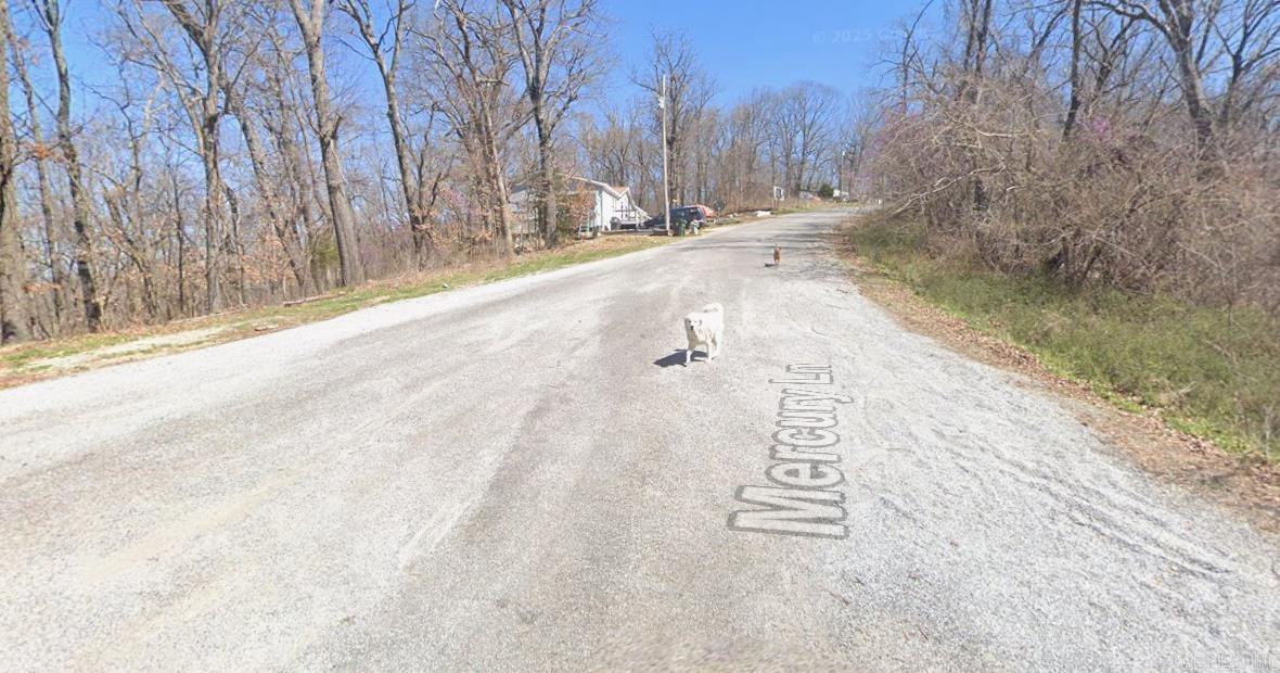 Lot 25 Mercury  Holiday Island, AR