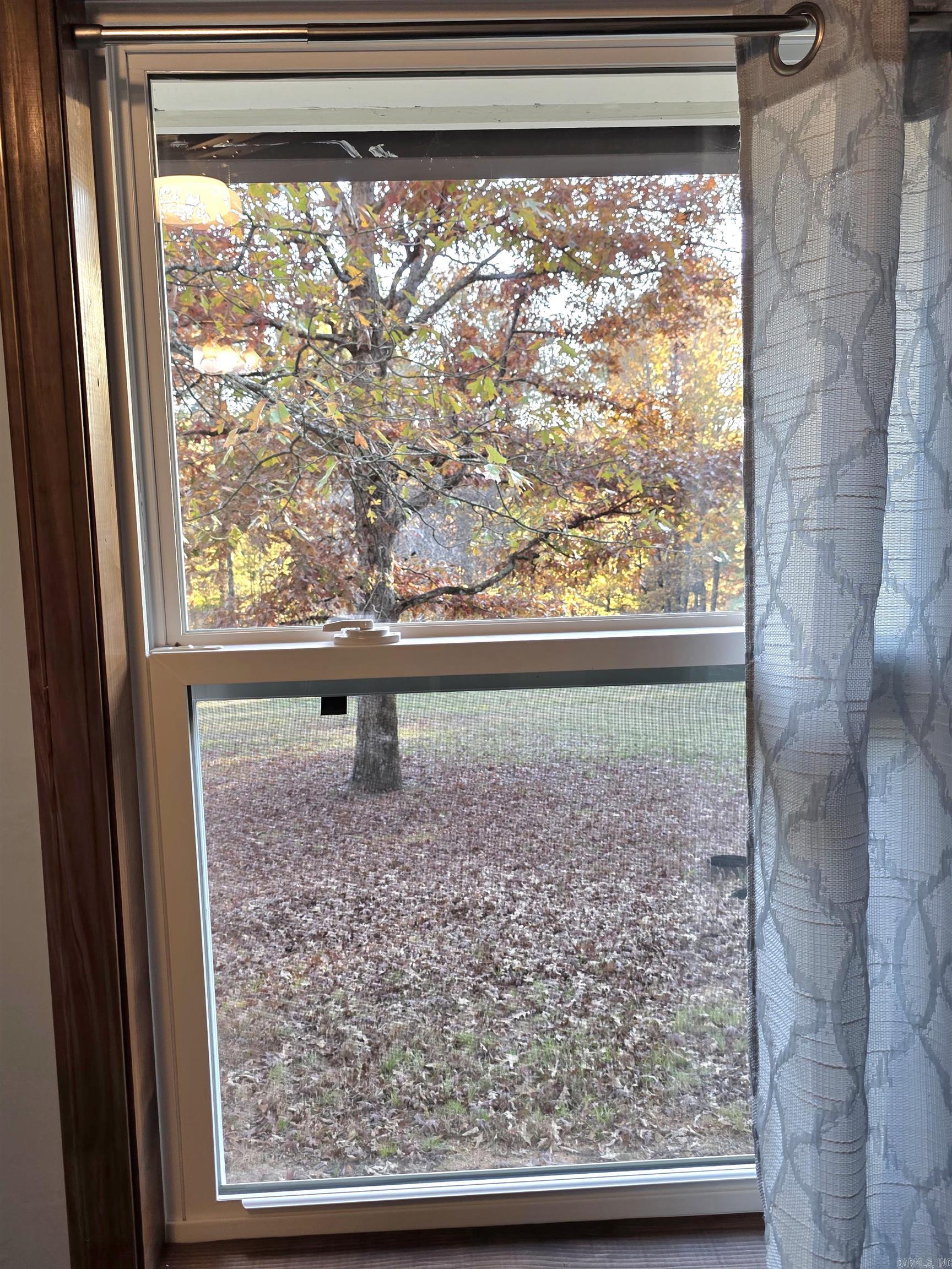 62 Dillard Road Glenwood, AR 71943