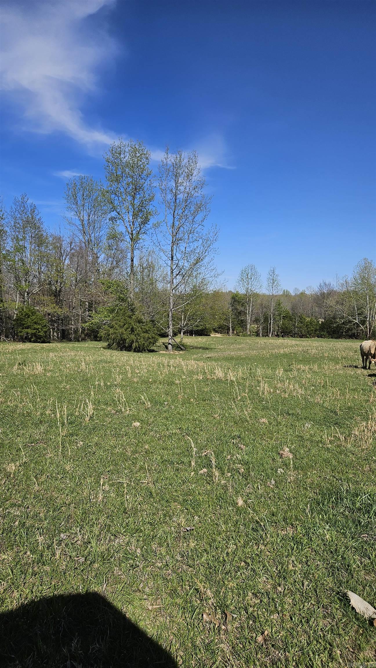 194 County Road 426  Rector, AR