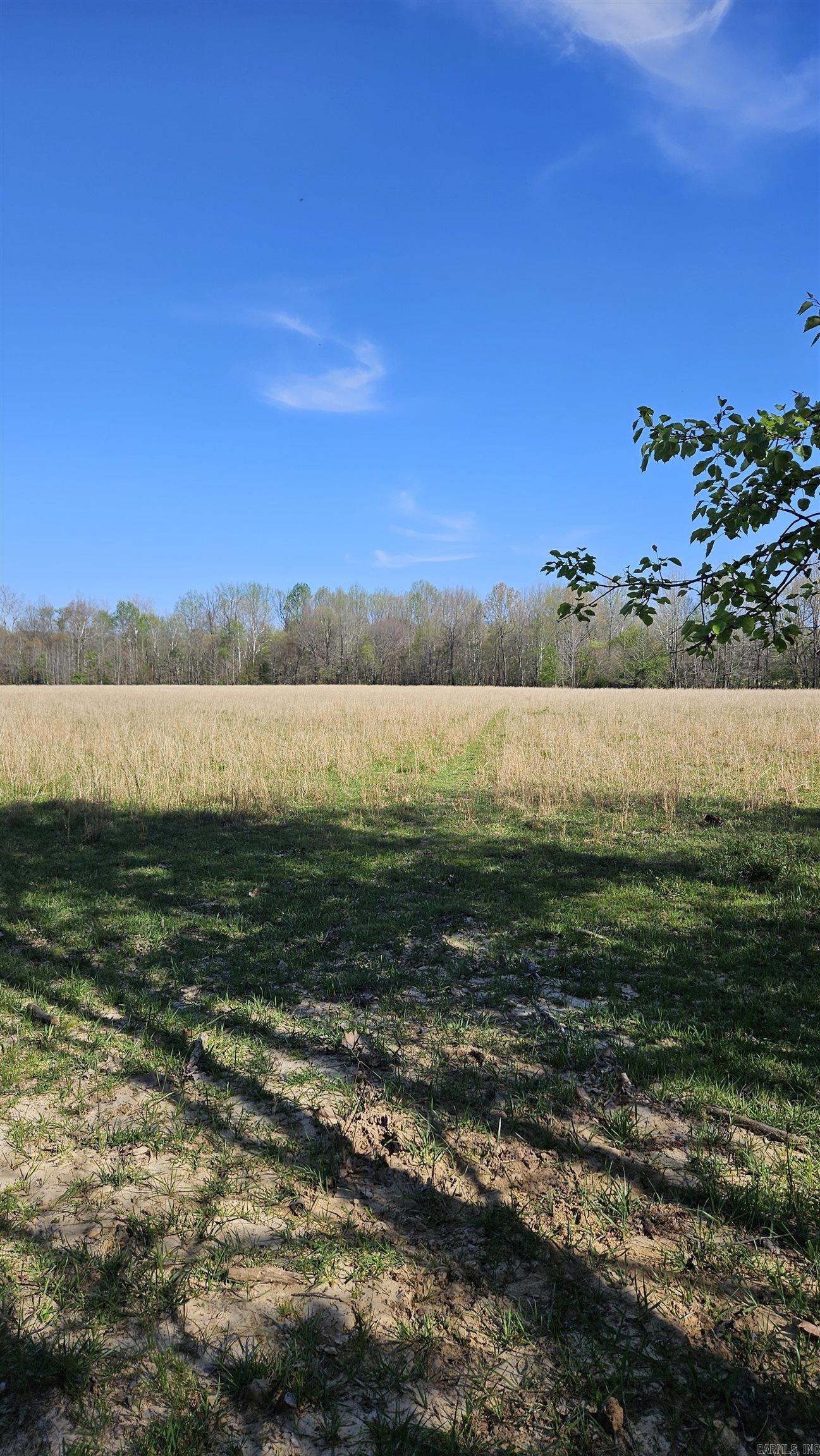 194 County Road 426  Rector, AR