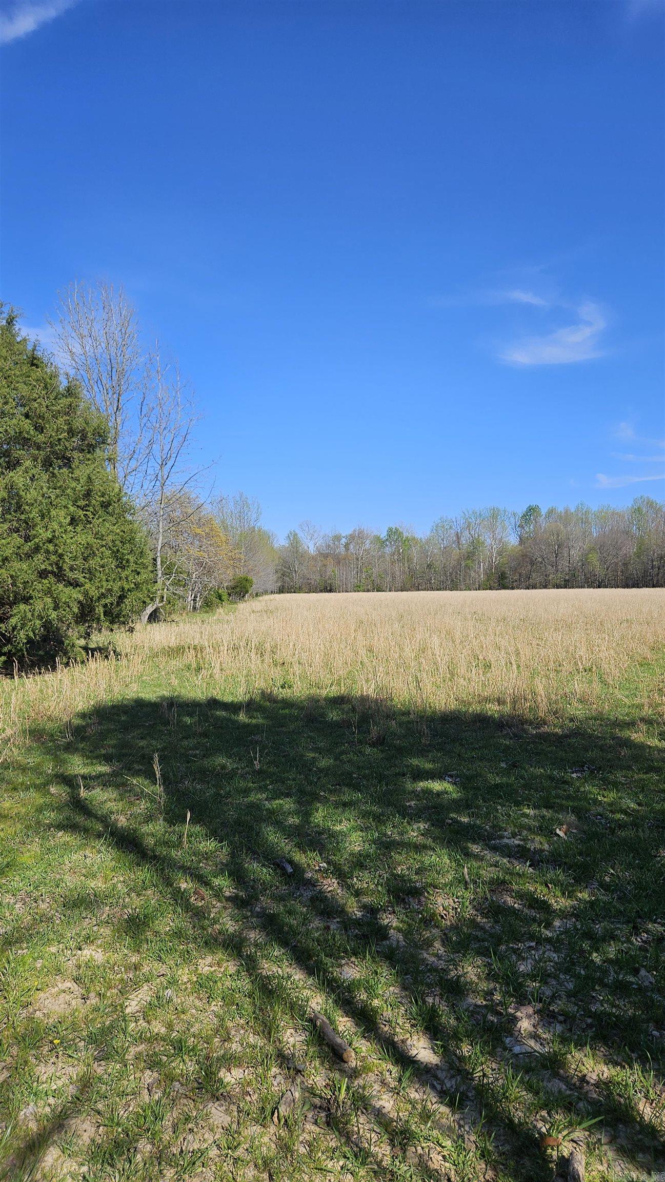 194 County Road 426  Rector, AR