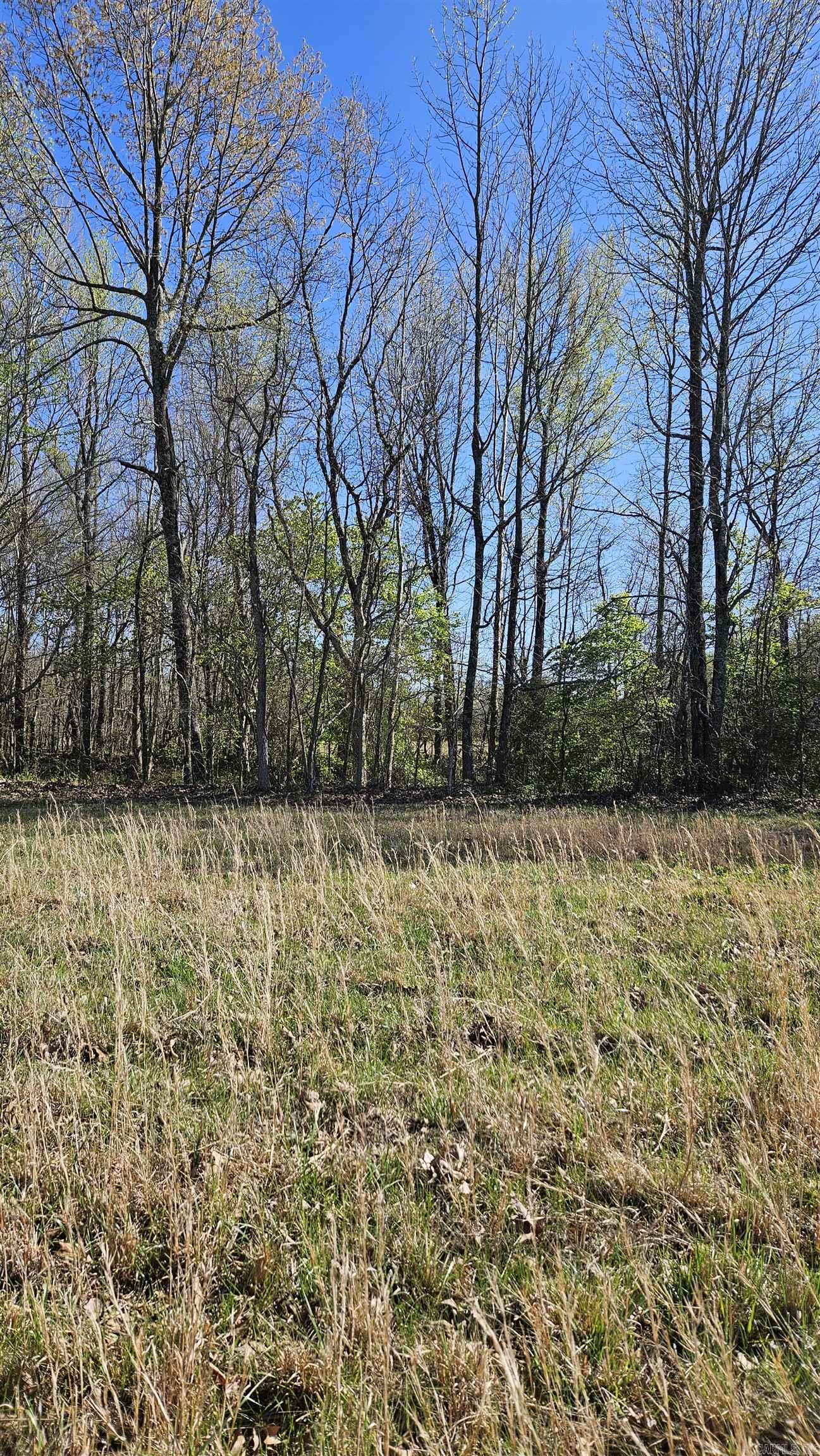 194 County Road 426  Rector, AR