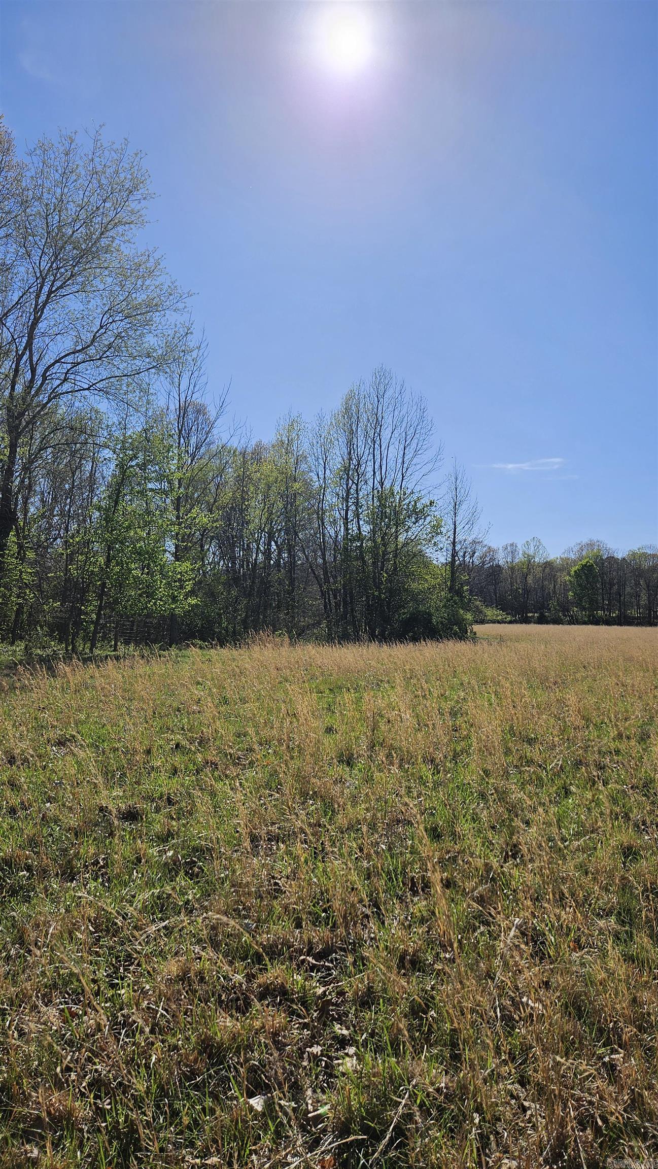 194 County Road 426  Rector, AR