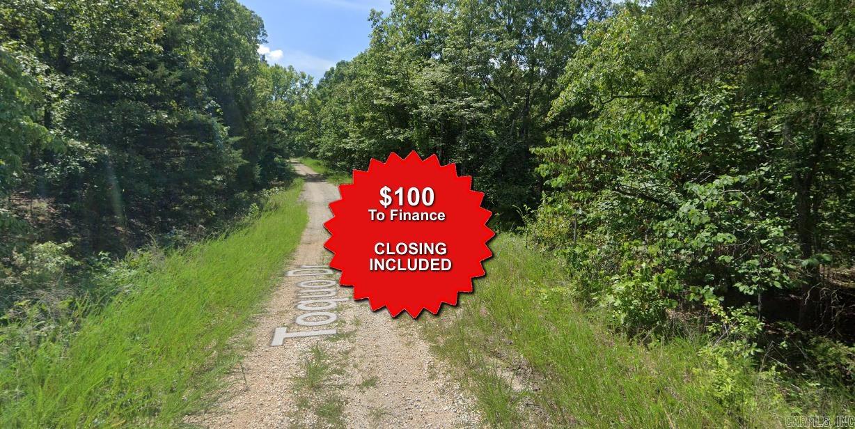 Lot 10 Ecohee  Cherokee Village, AR