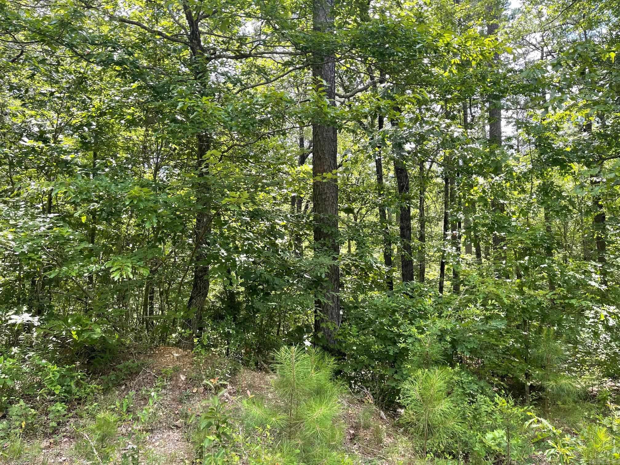 TBD Polk Road 61  Mena, AR