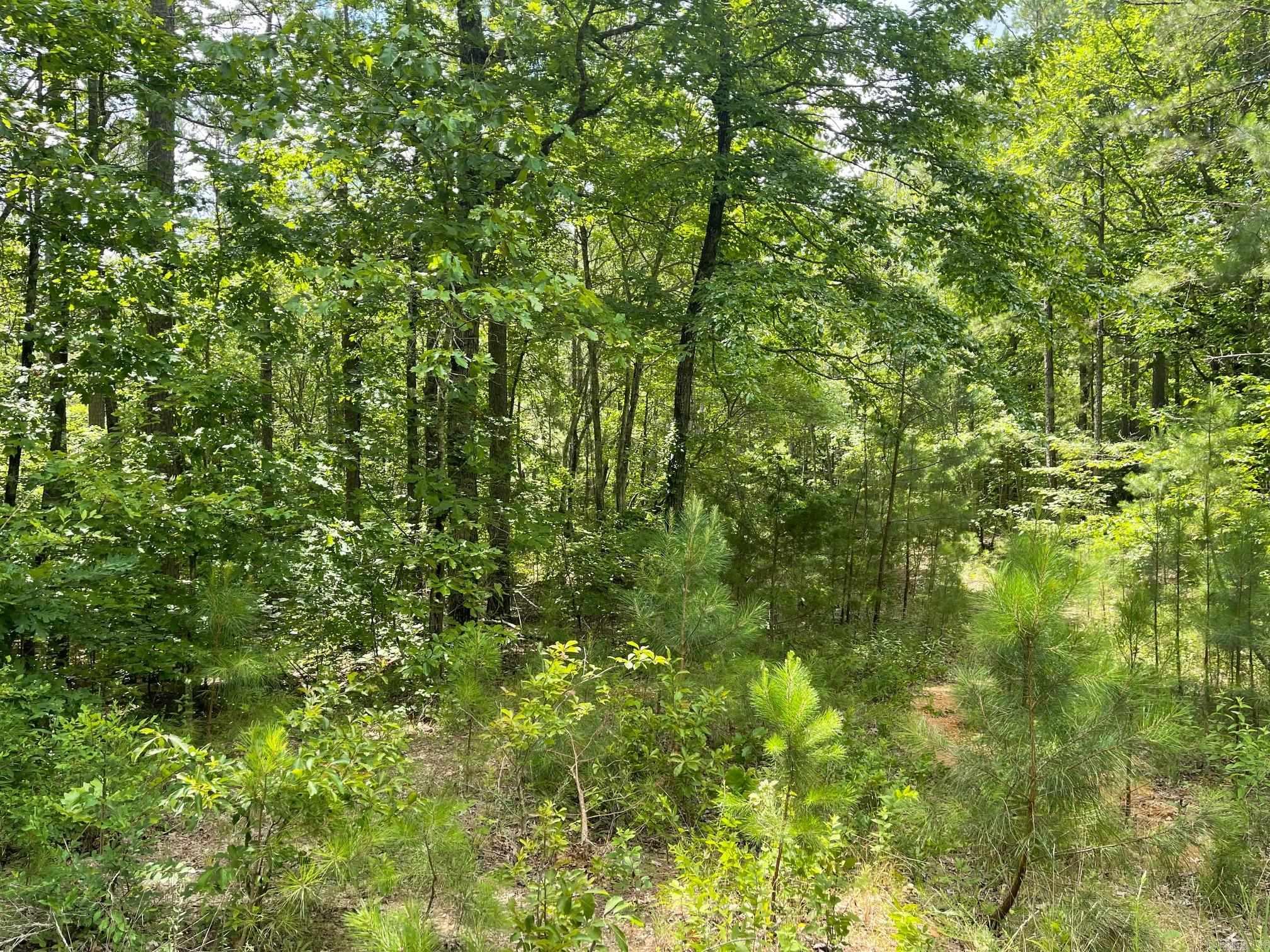 TBD Polk Road 61  Mena, AR