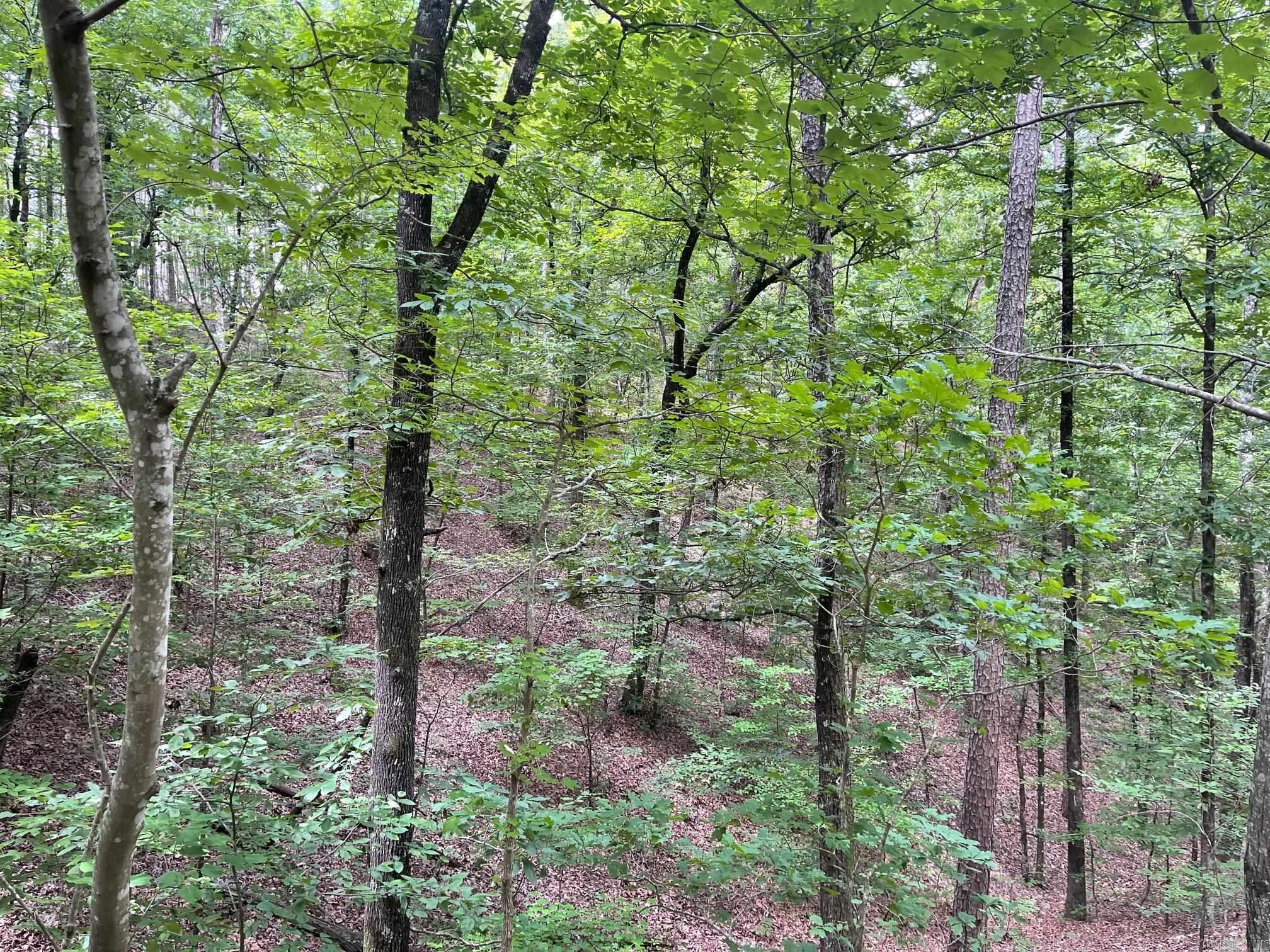 TBD Polk Road 61  Mena, AR