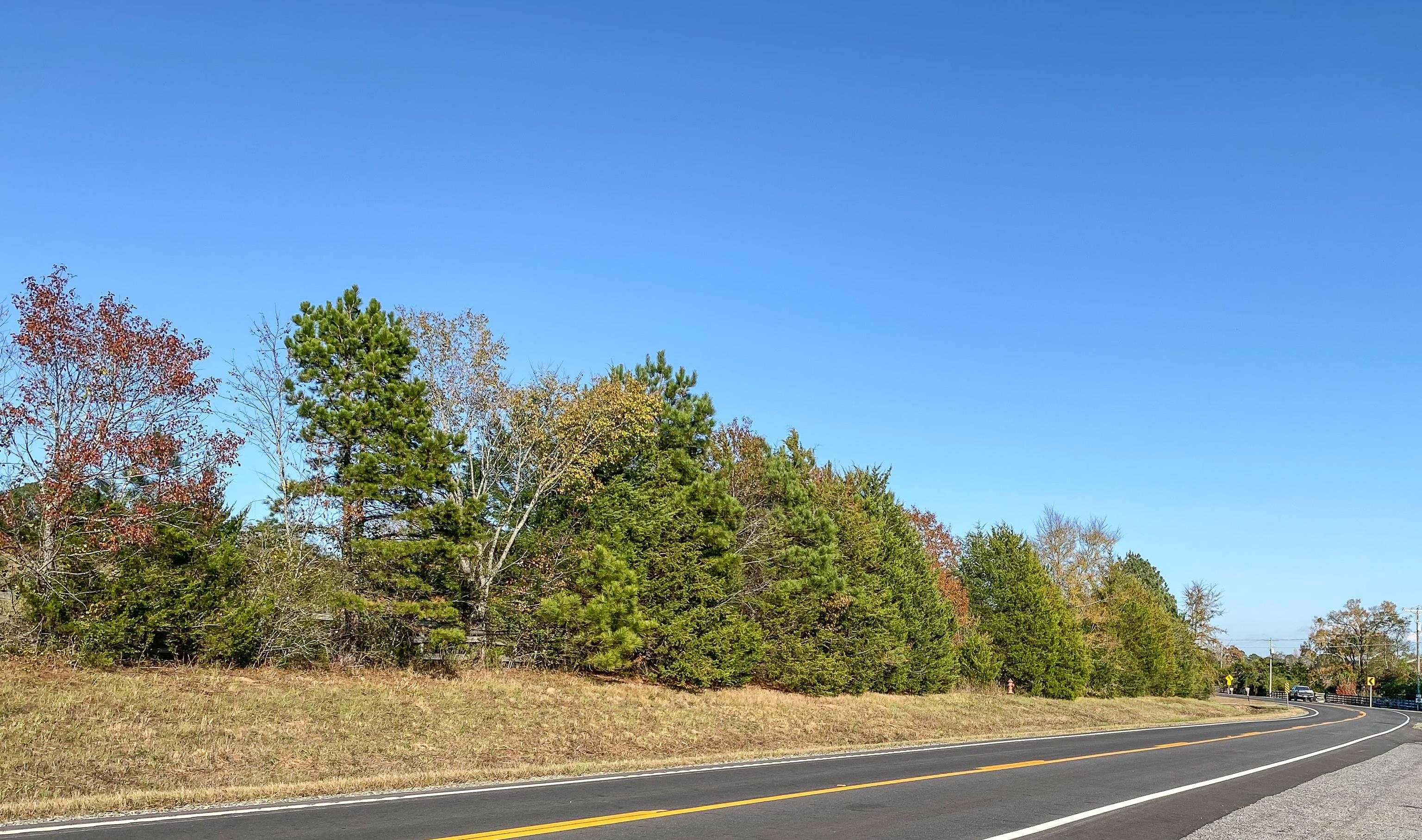 3109 Sunshine Tract B Royal, AR