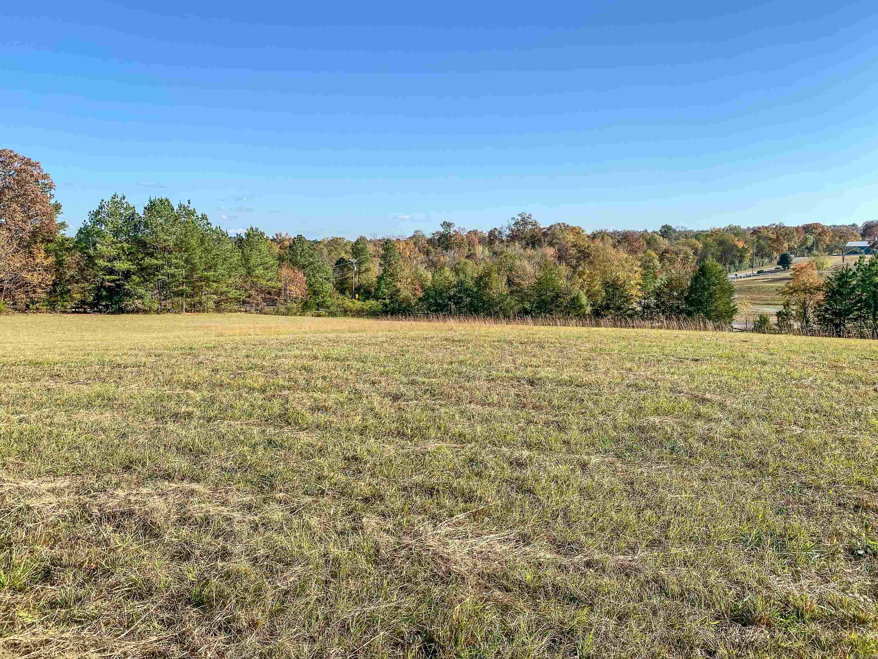 3109 Sunshine Tract B Royal, AR