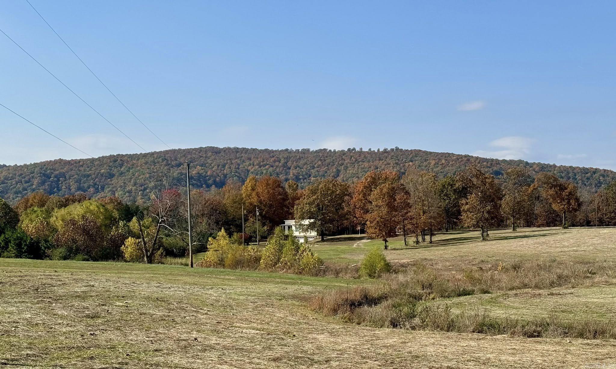 318 S Riggsville  Mountain View, AR