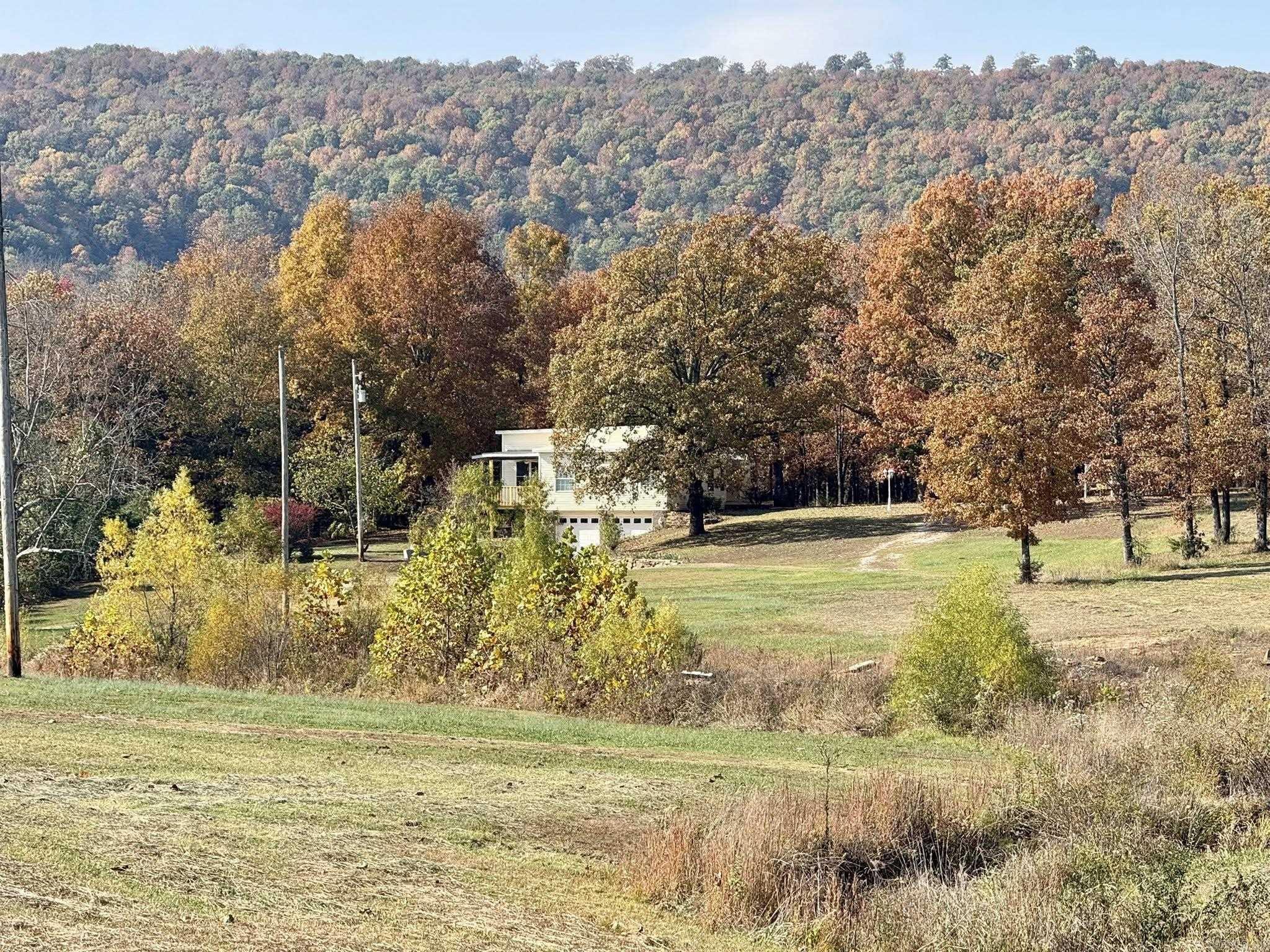 318 S Riggsville  Mountain View, AR