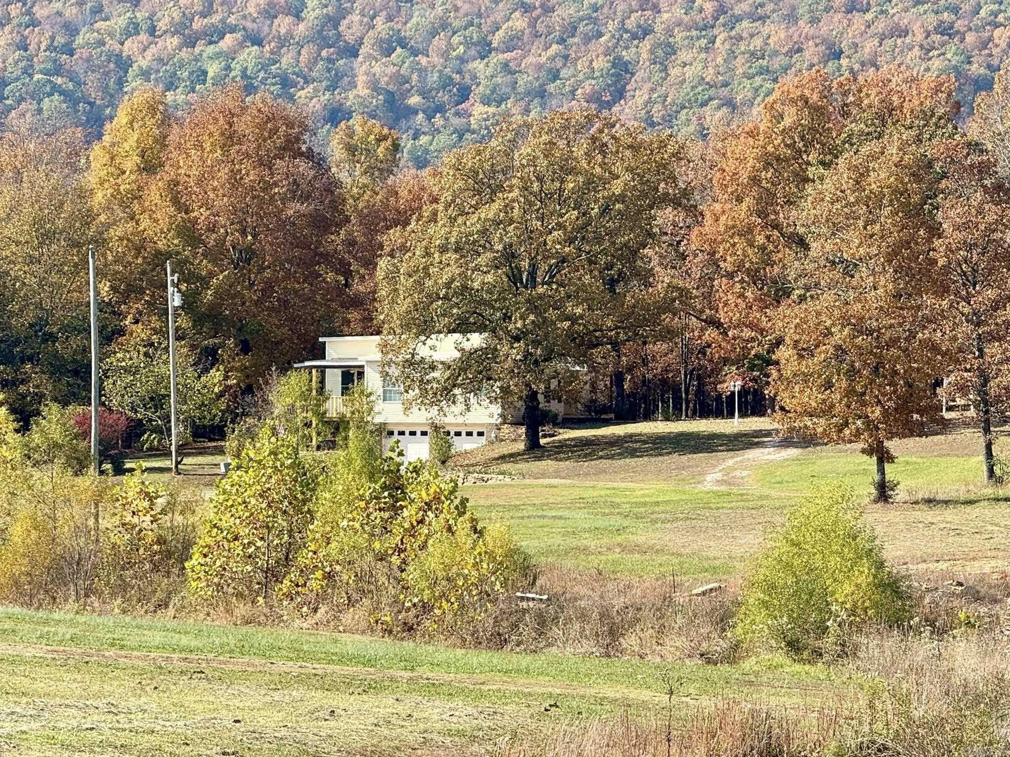 318 S Riggsville  Mountain View, AR