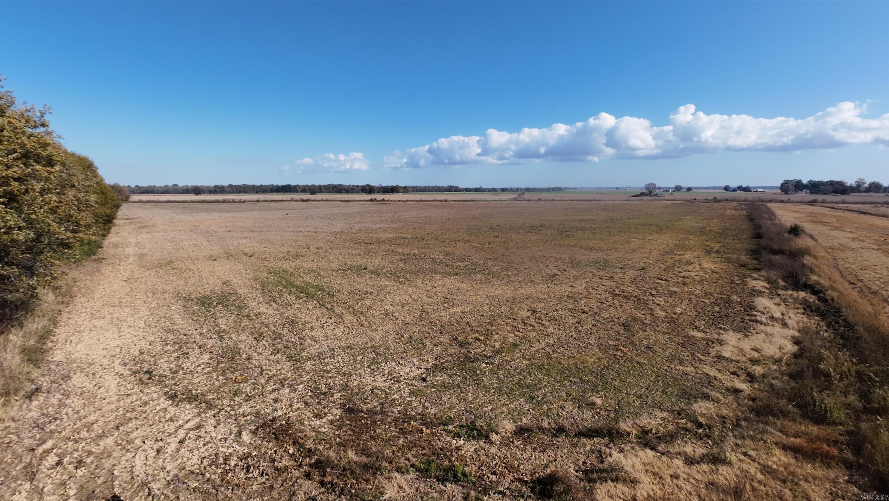 1282 Main  Knobel, AR