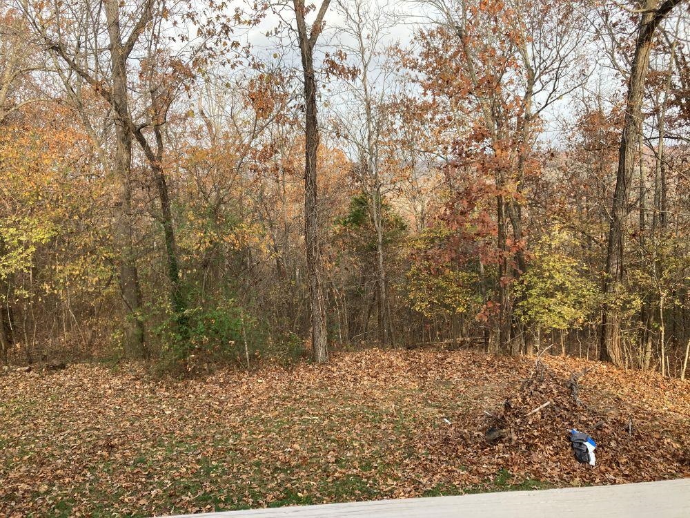 46 Choctaw  Cherokee Village, AR