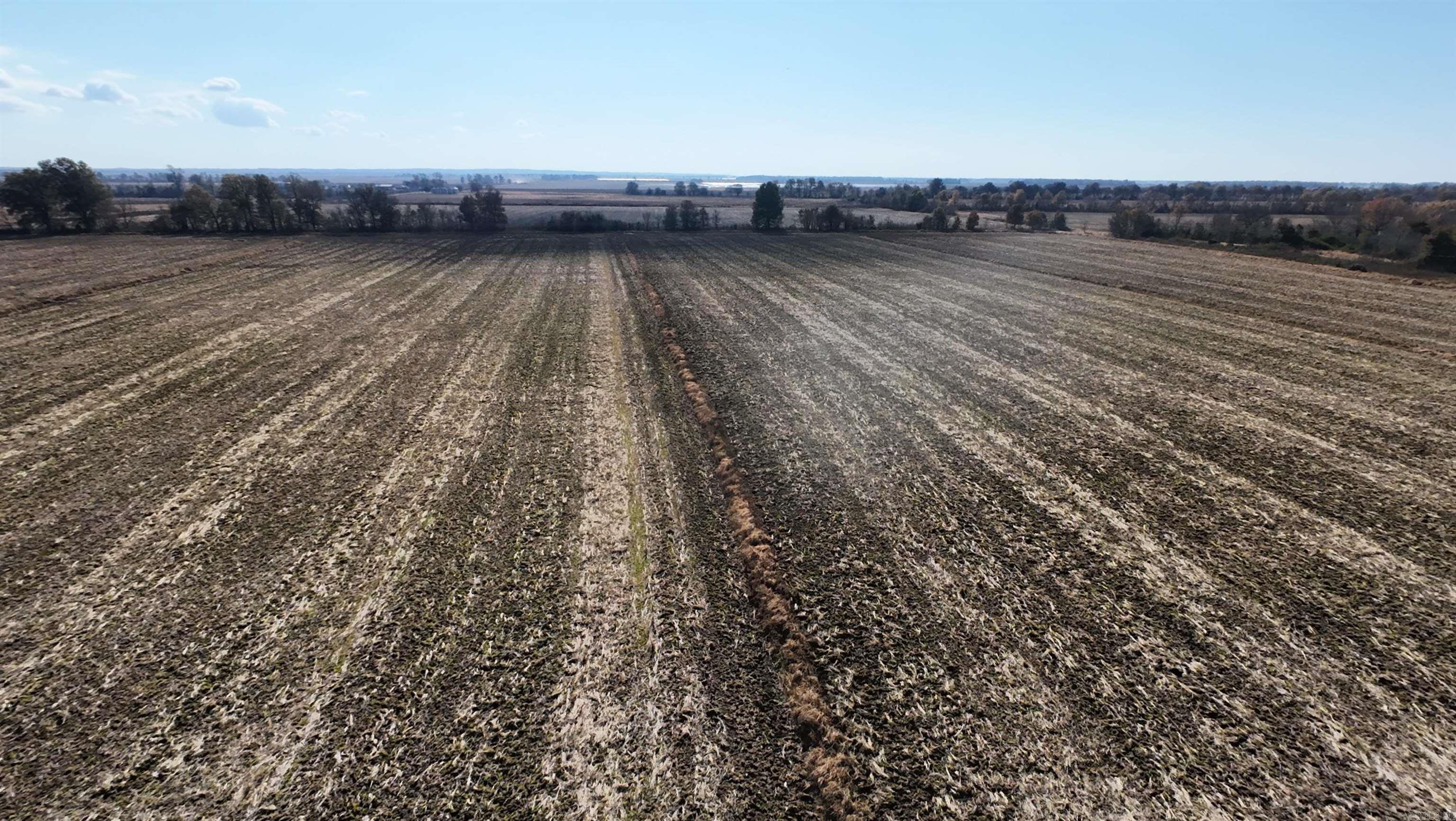 1940 HWY 90  Knobel, AR