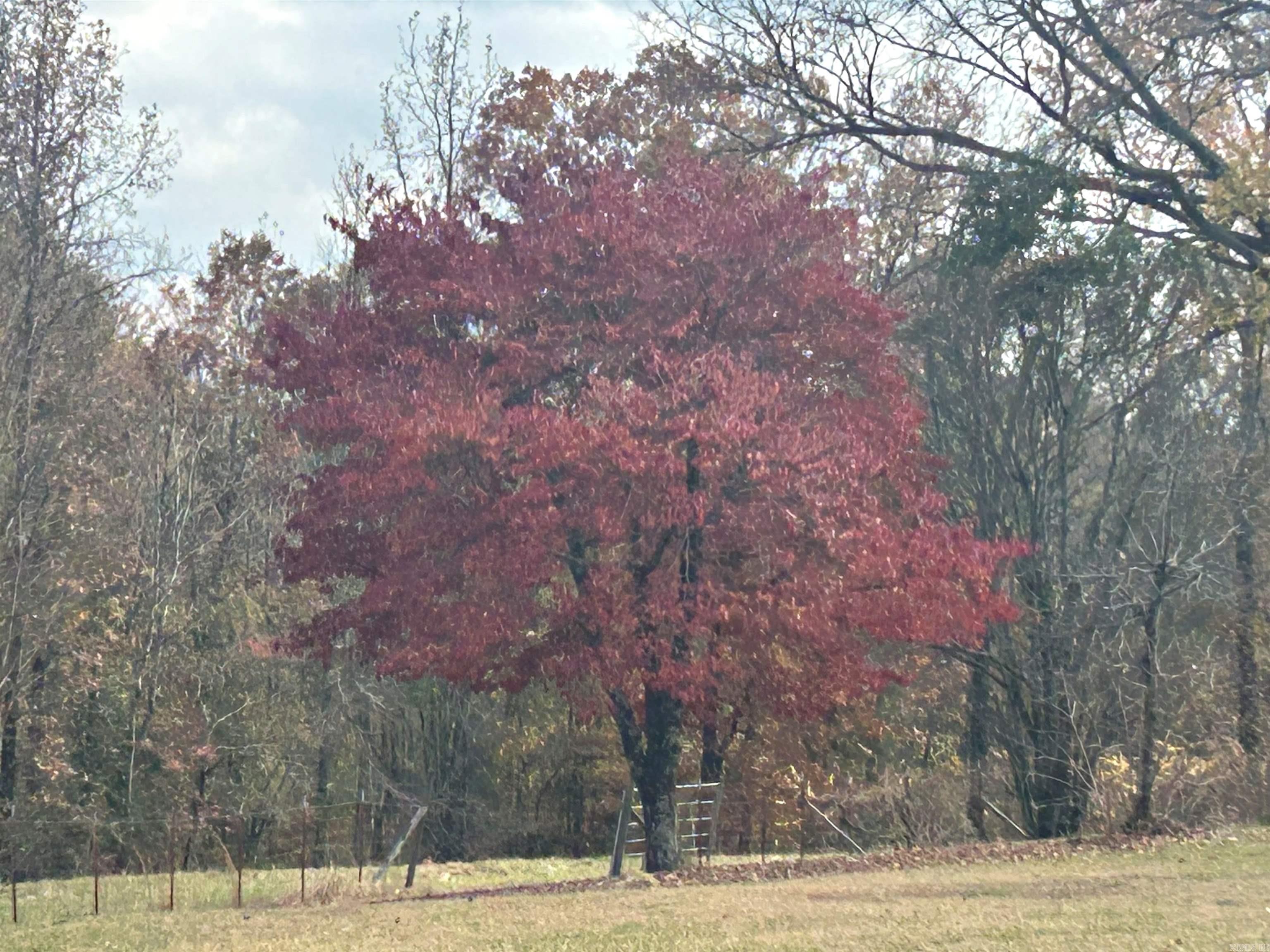 5261 Hickory Grove Road Bismarck, AR 71929