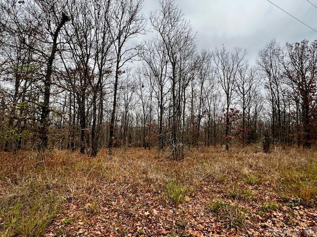 00 Allen Dr  Vilonia, AR