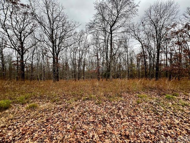 00 Allen Dr  Vilonia, AR