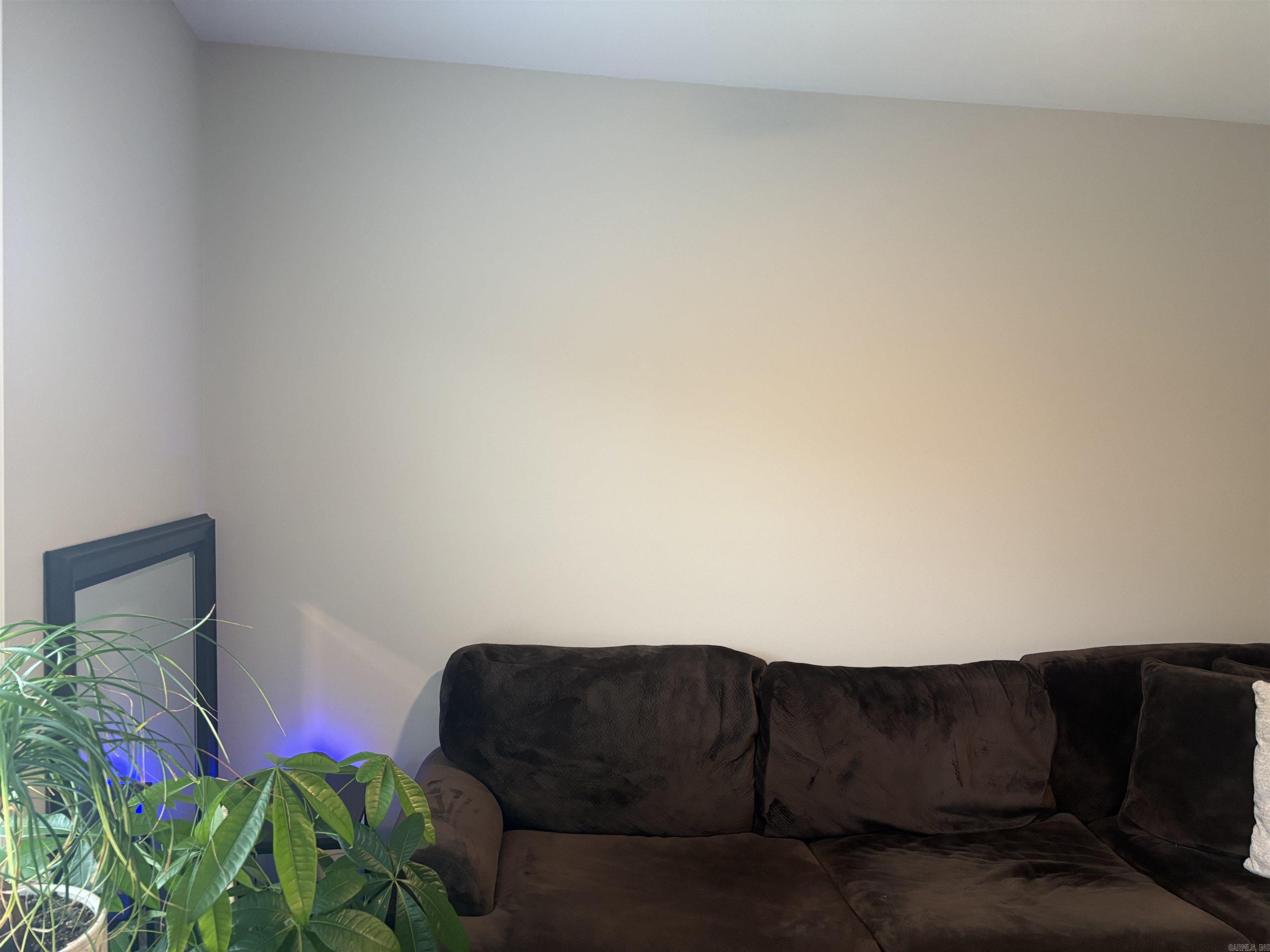 2850 Carmichael Drive Conway, AR 72034