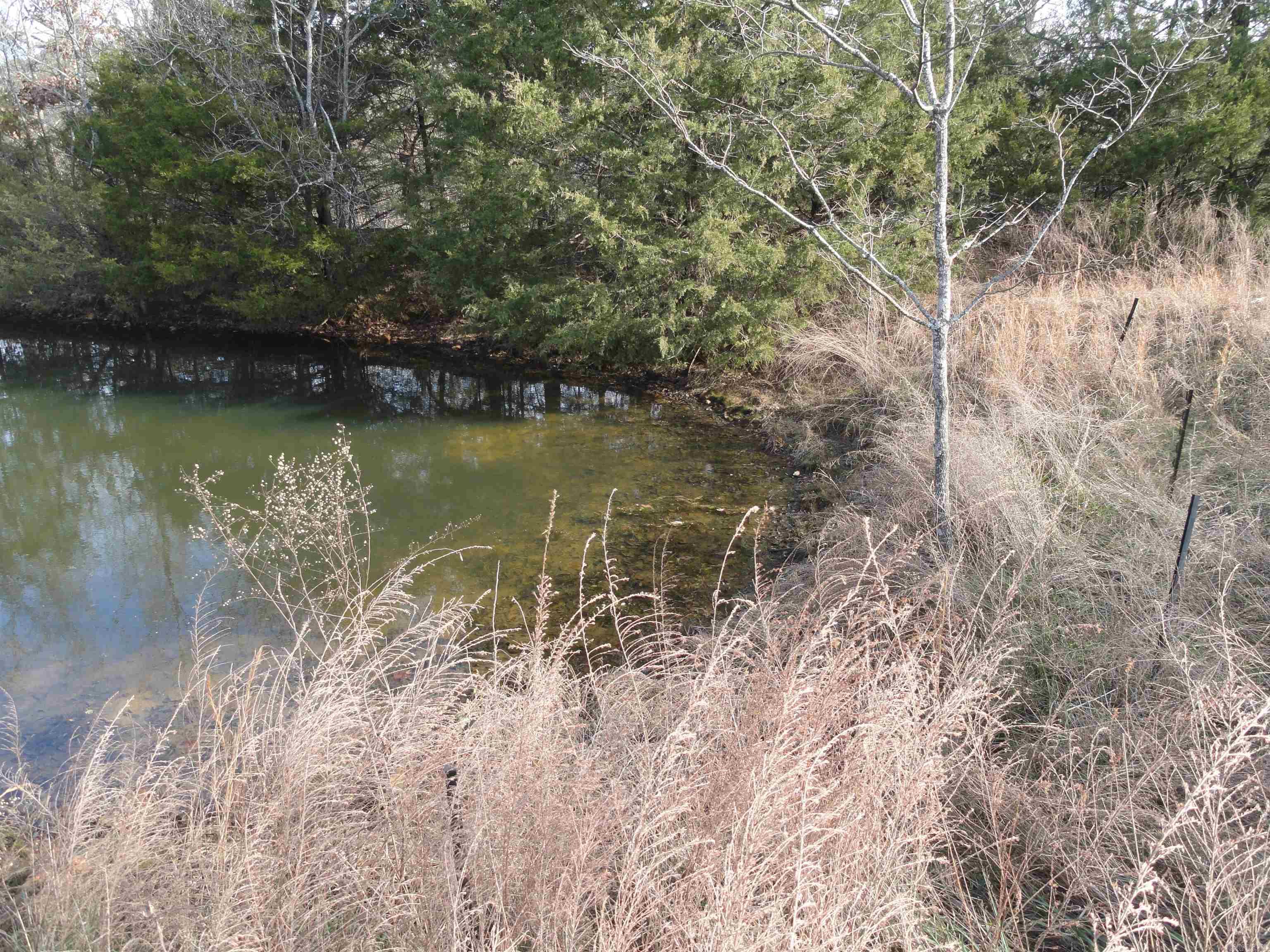 4191 N Woolum Road Pindall, AR 72669