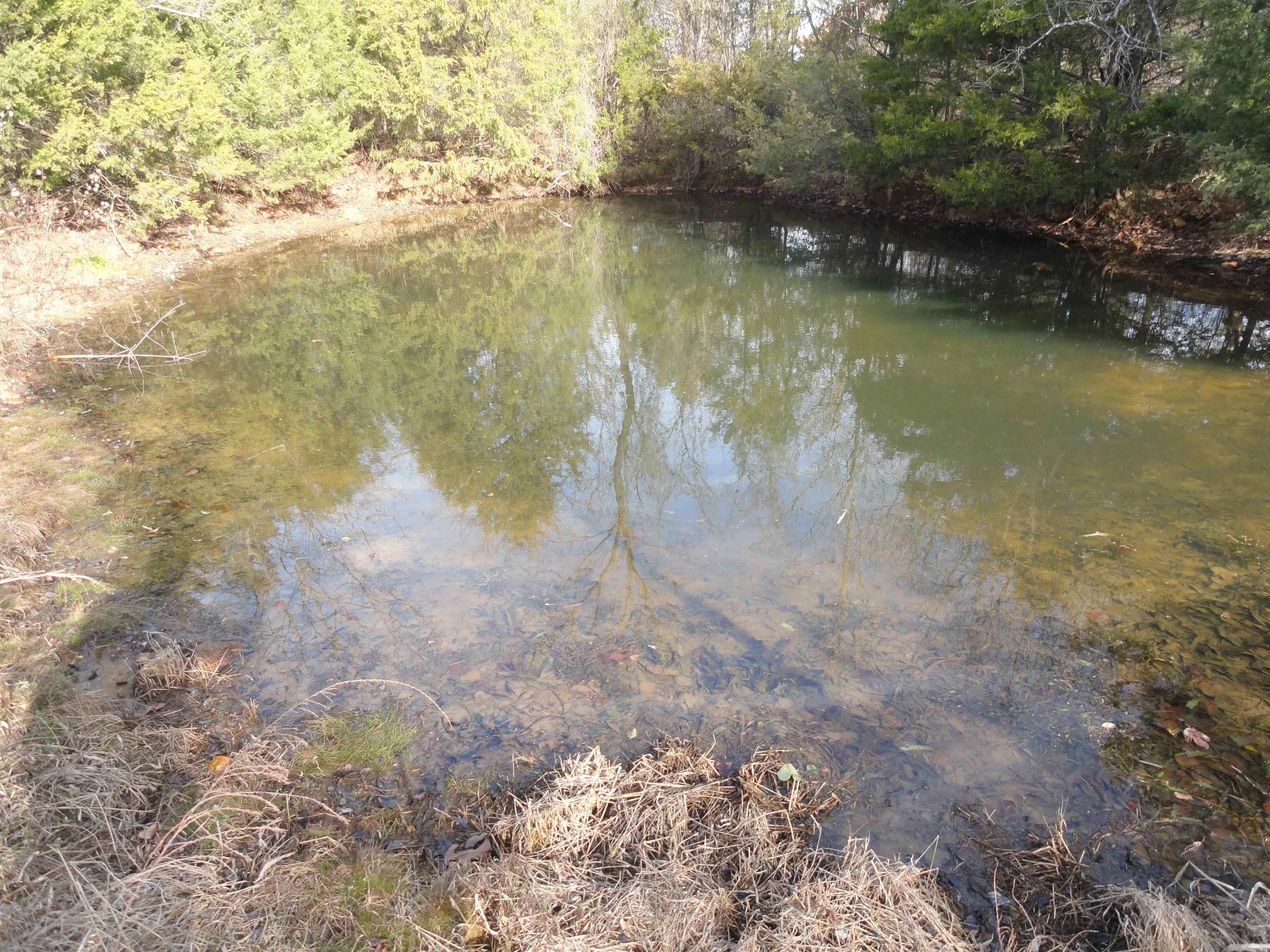 4191 N Woolum Road Pindall, AR 72669