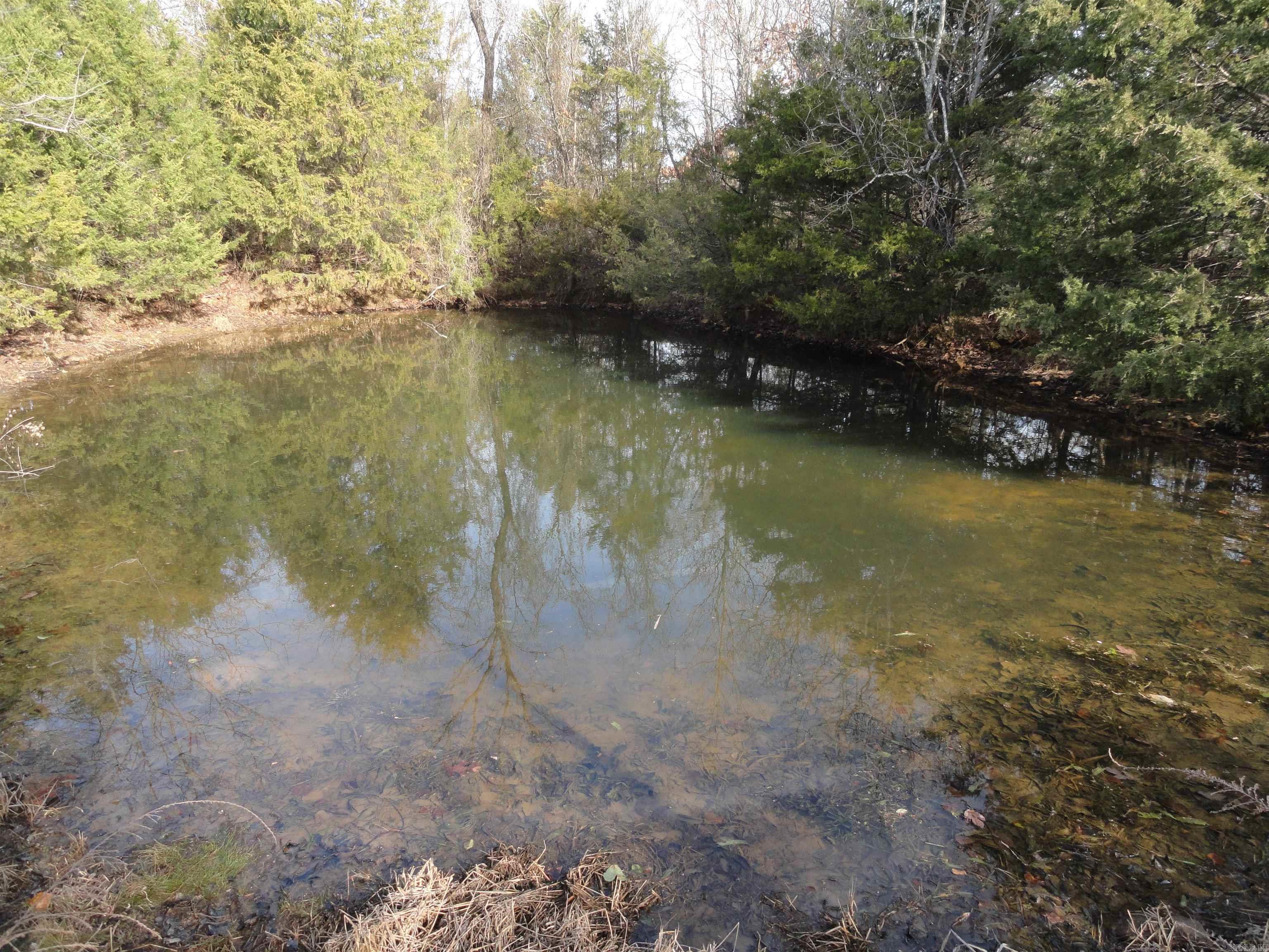 4191 N Woolum Road Pindall, AR 72669