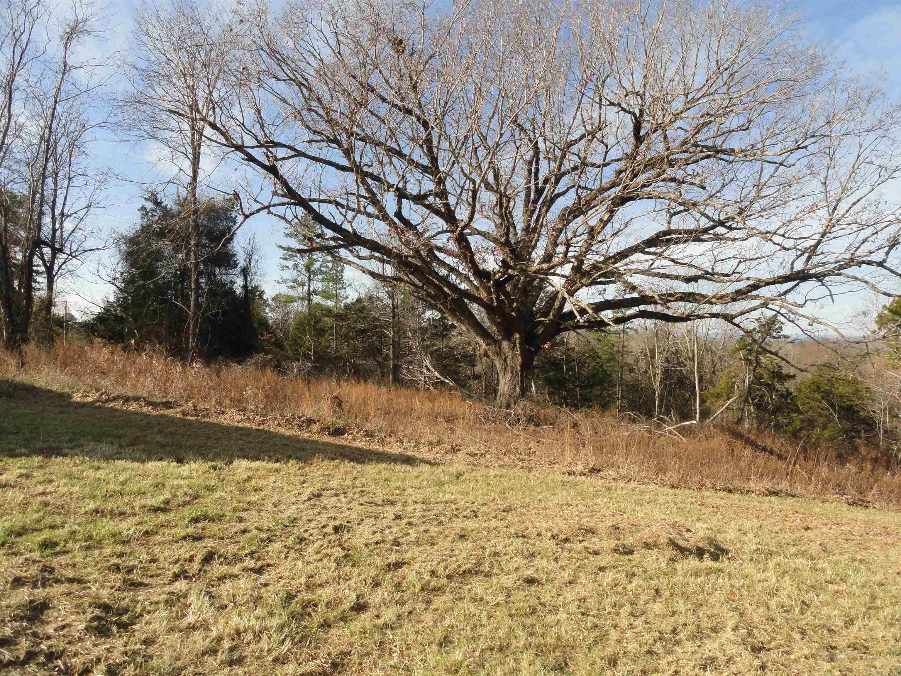 4191 N Woolum Road Pindall, AR 72669