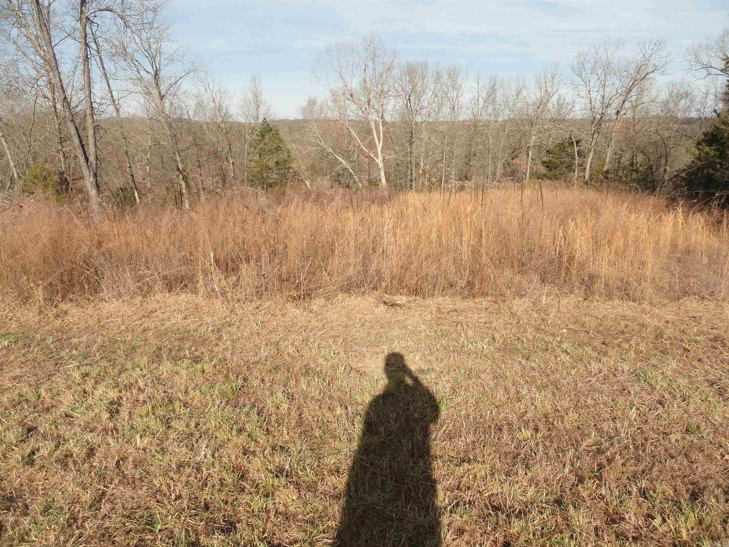 4191 N Woolum Road Pindall, AR 72669