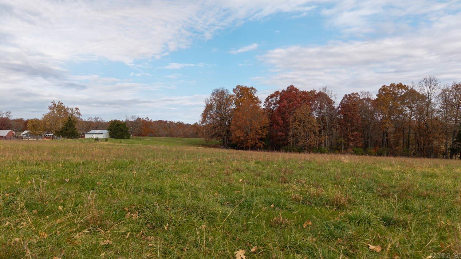 1145 Broadleaf Road Mammoth Spring, AR 72554