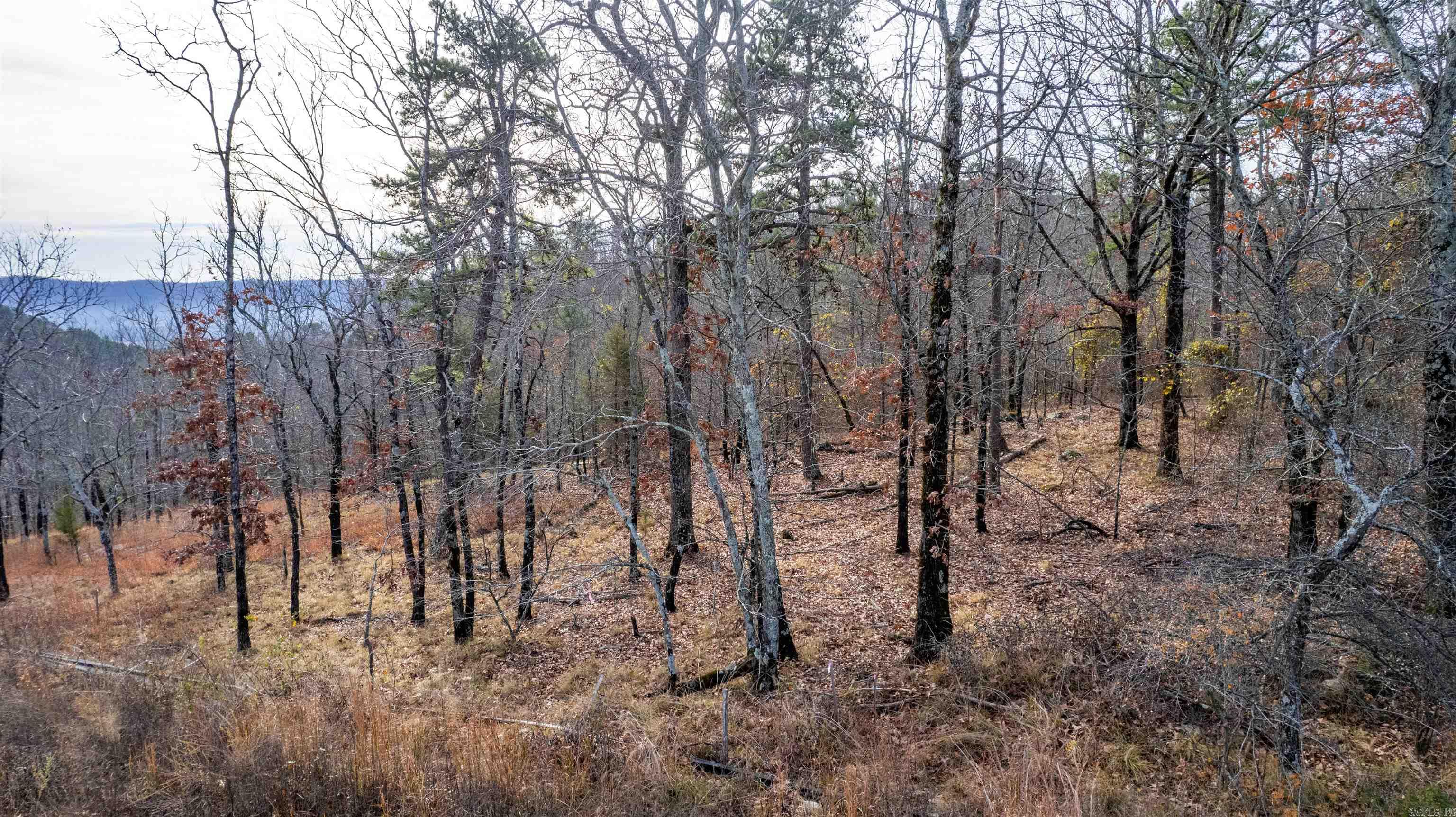 TBD Promise Land  Hot Springs, AR