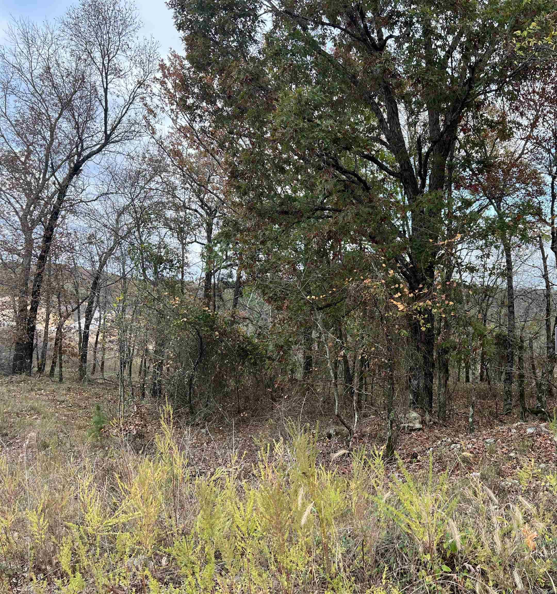 TBD Promise Land  Hot Springs, AR