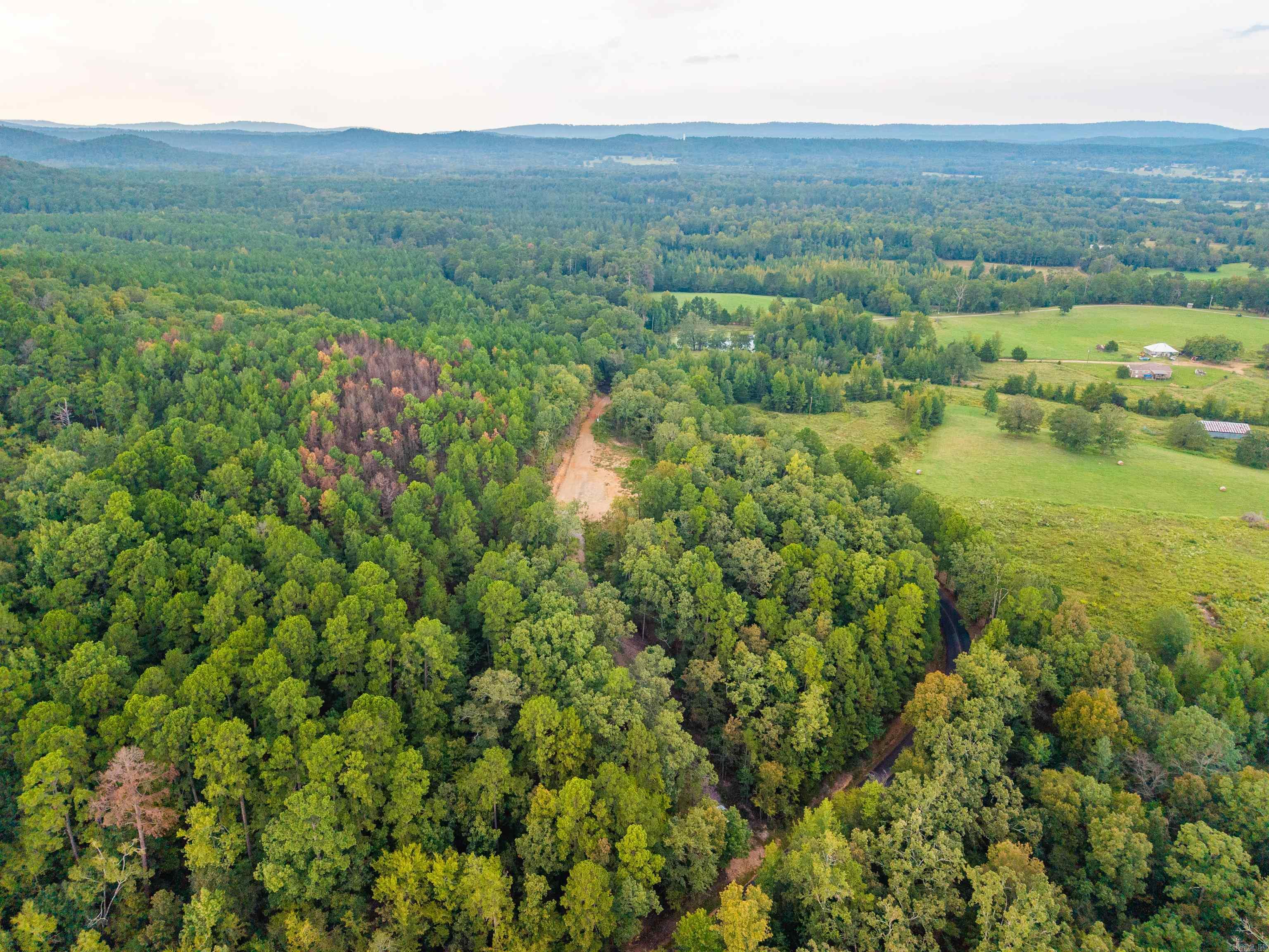 2522 S Crystal Springs  Hot Springs, AR