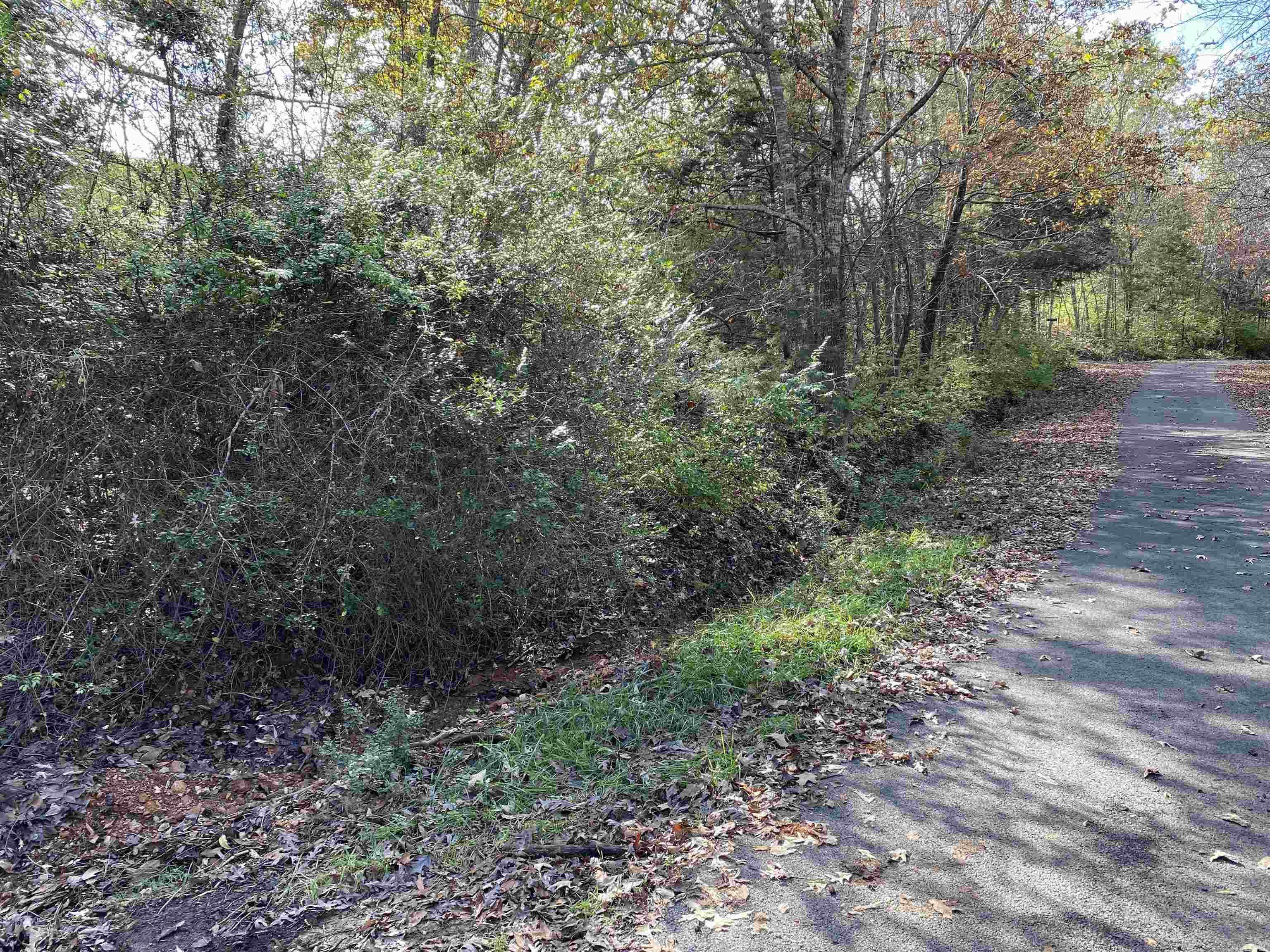 760-19585-000 Sandot  Bull Shoals, AR