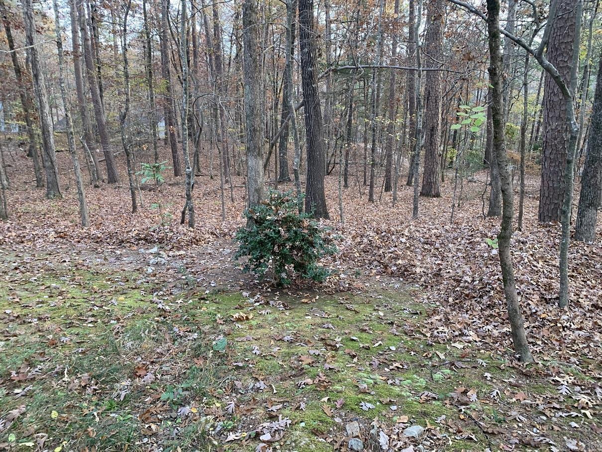 23 Valls  Hot Springs Village, AR