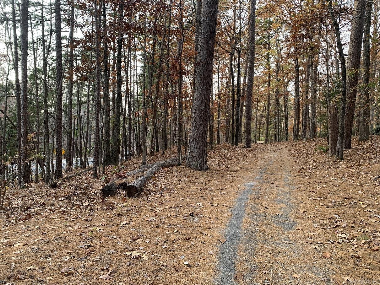 23 Valls  Hot Springs Village, AR