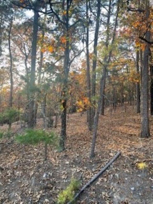 0 Rustic Hills Trail  Hot Springs, AR