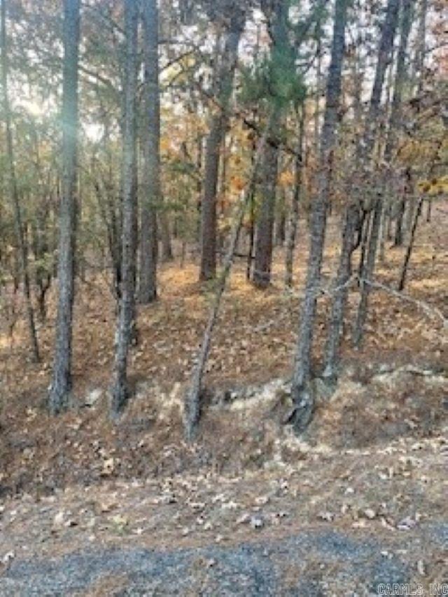 0 Rustic Hills Trail  Hot Springs, AR